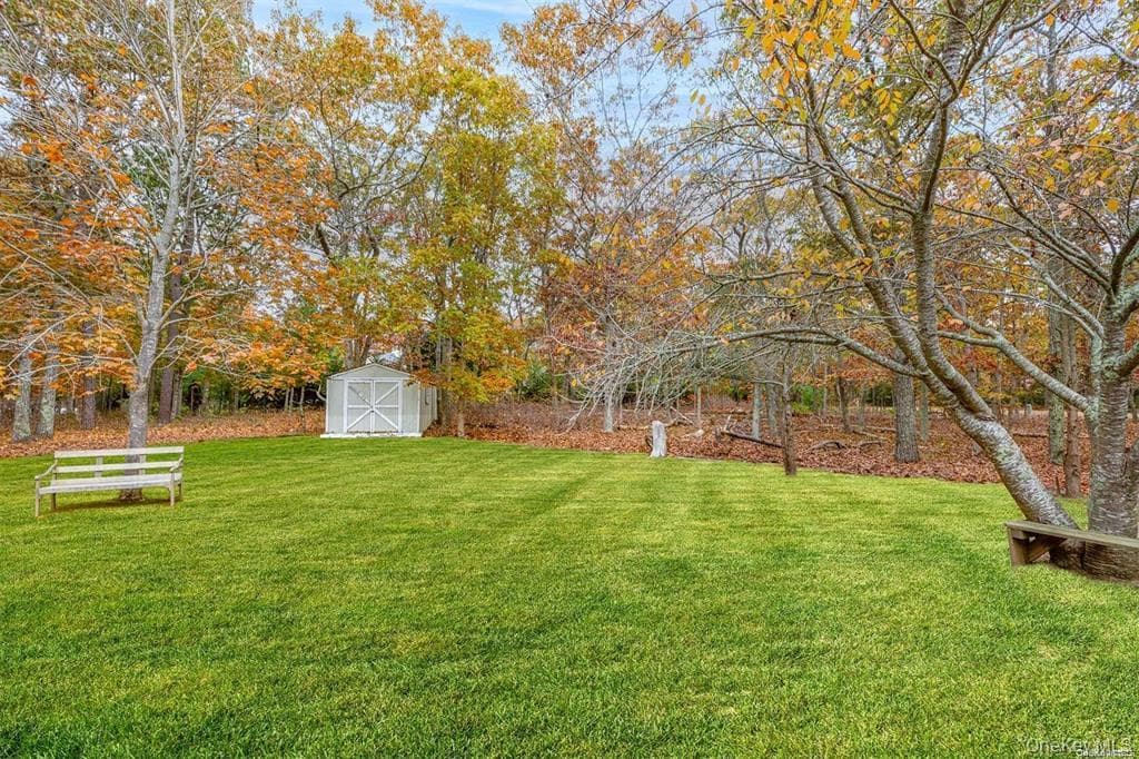 Yard
