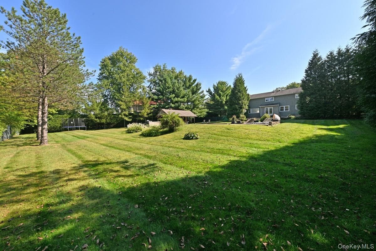 Yard