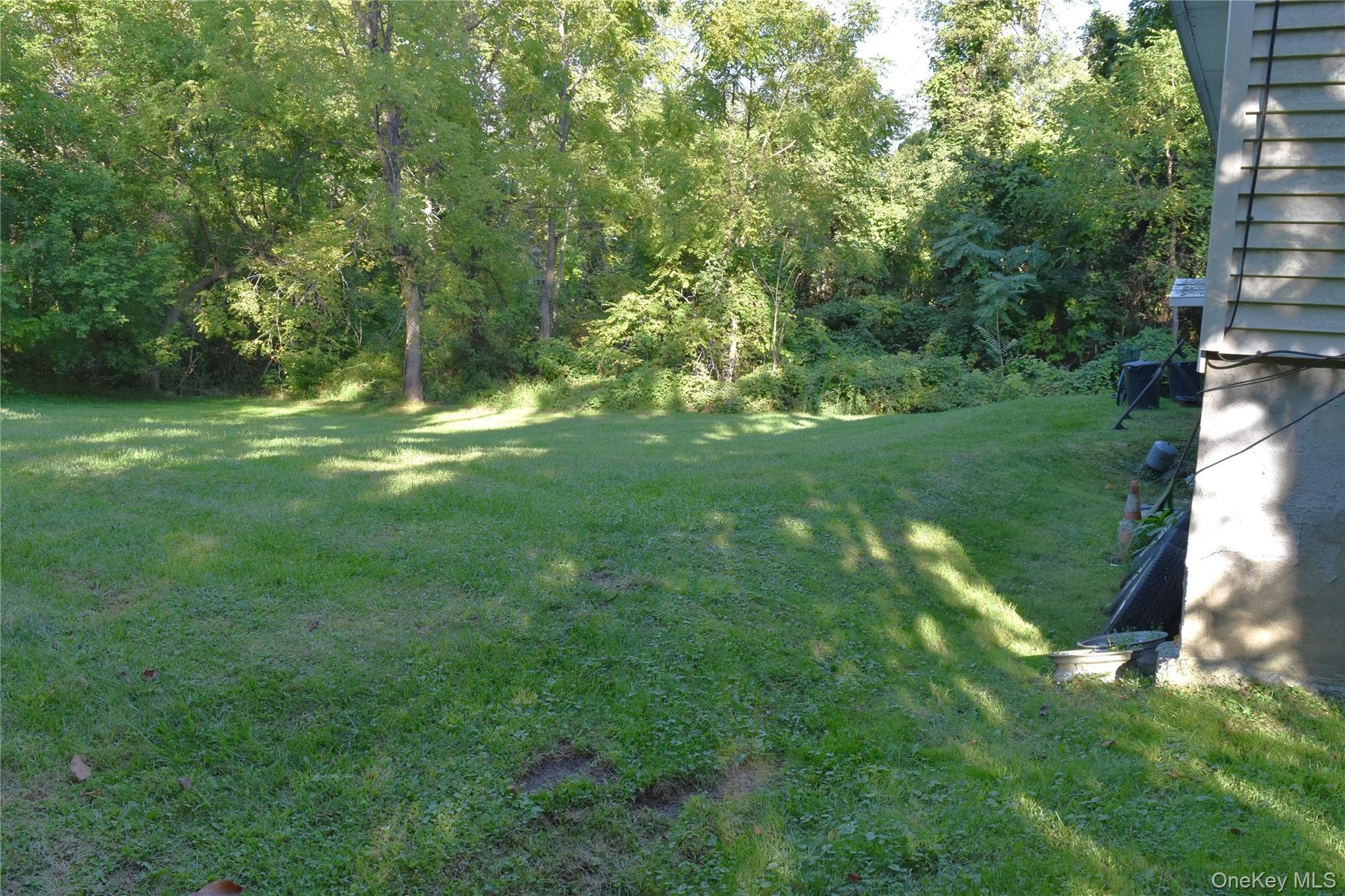 Yard