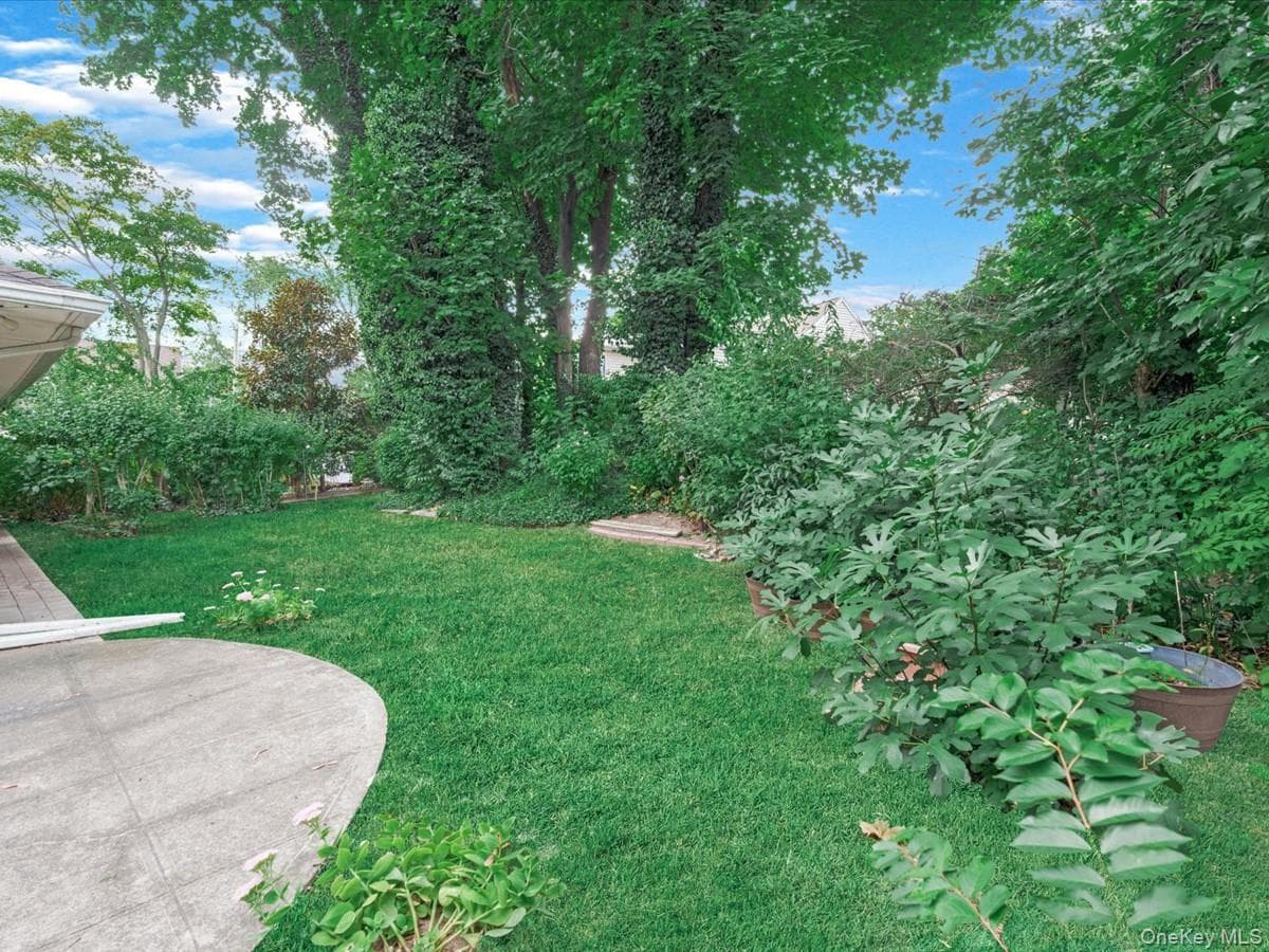 Yard