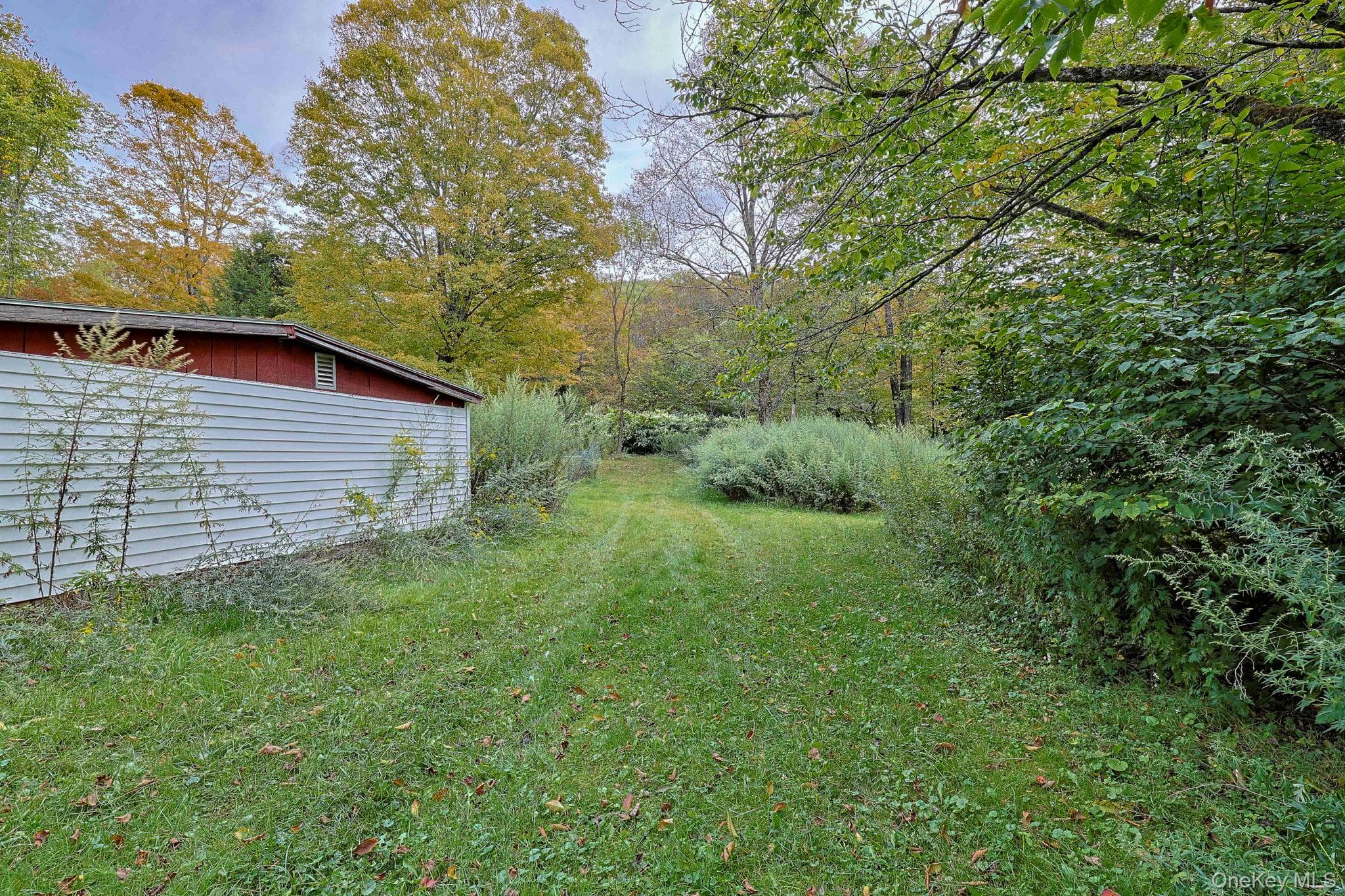 Yard