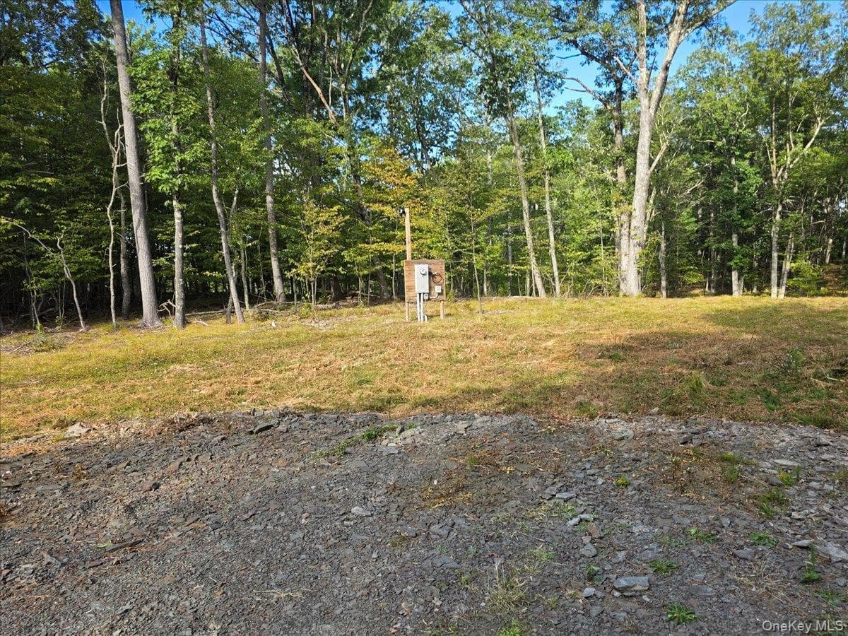 Yard