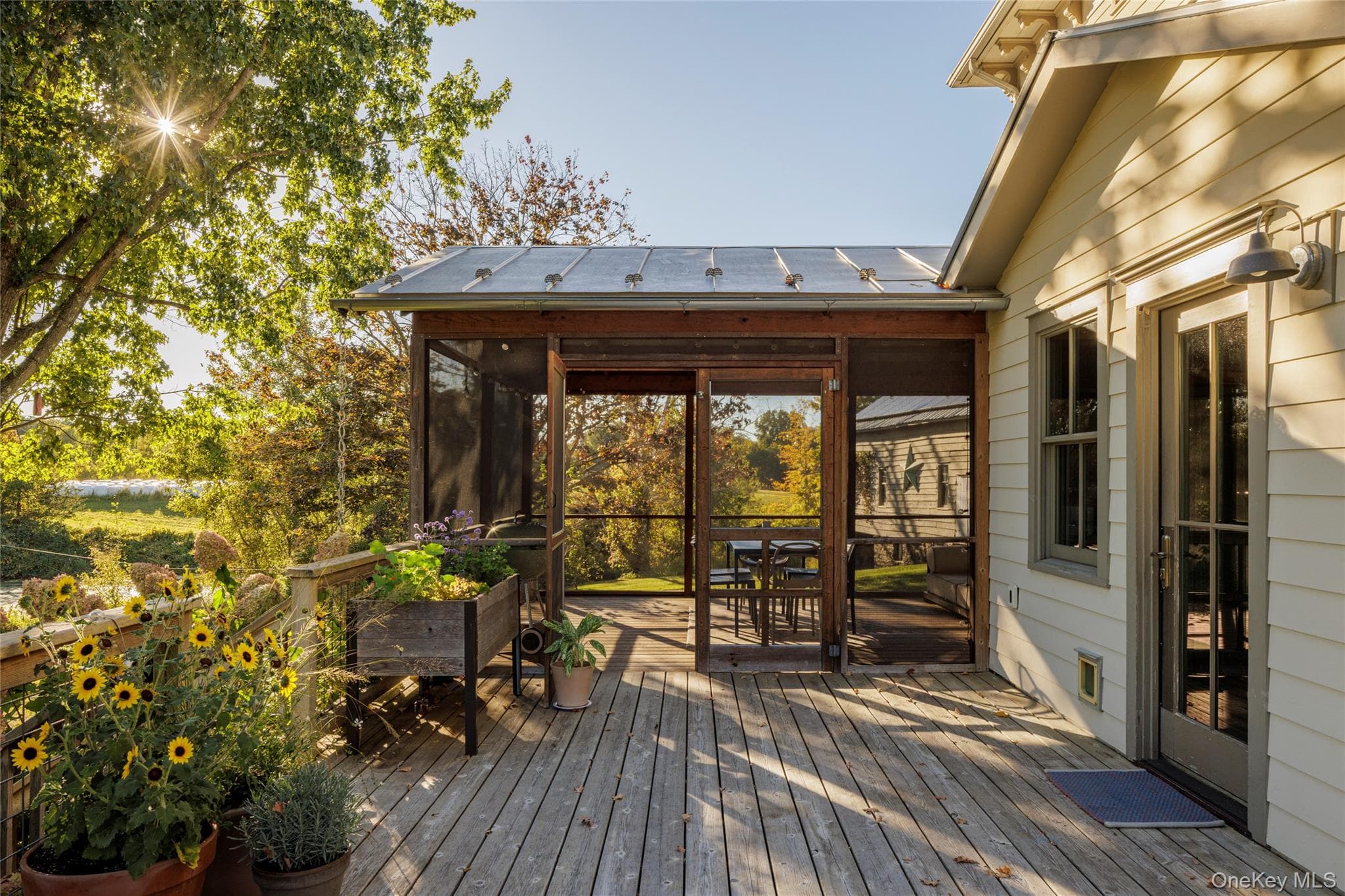 Deck