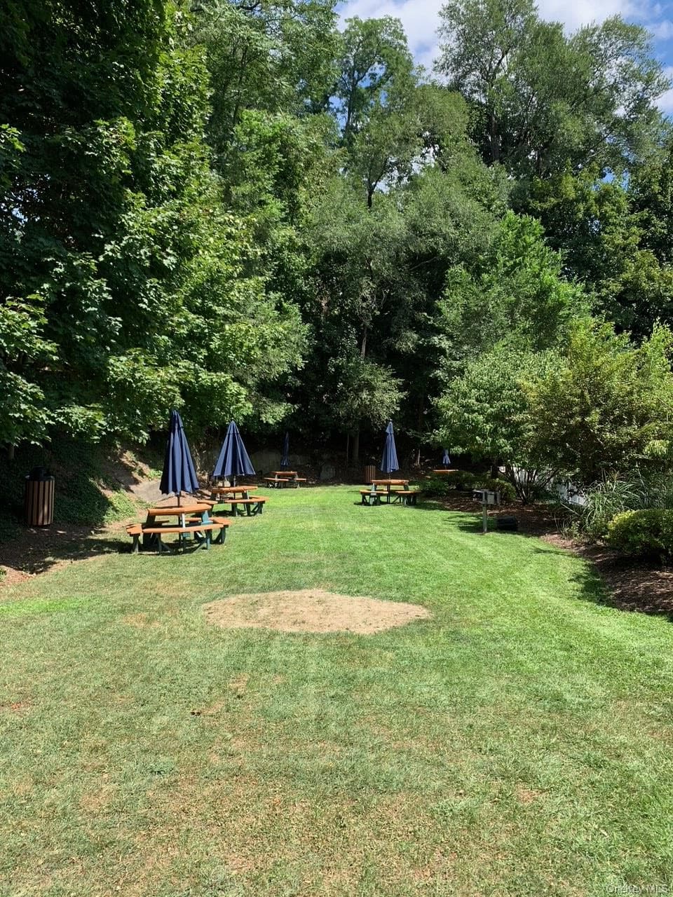 Yard