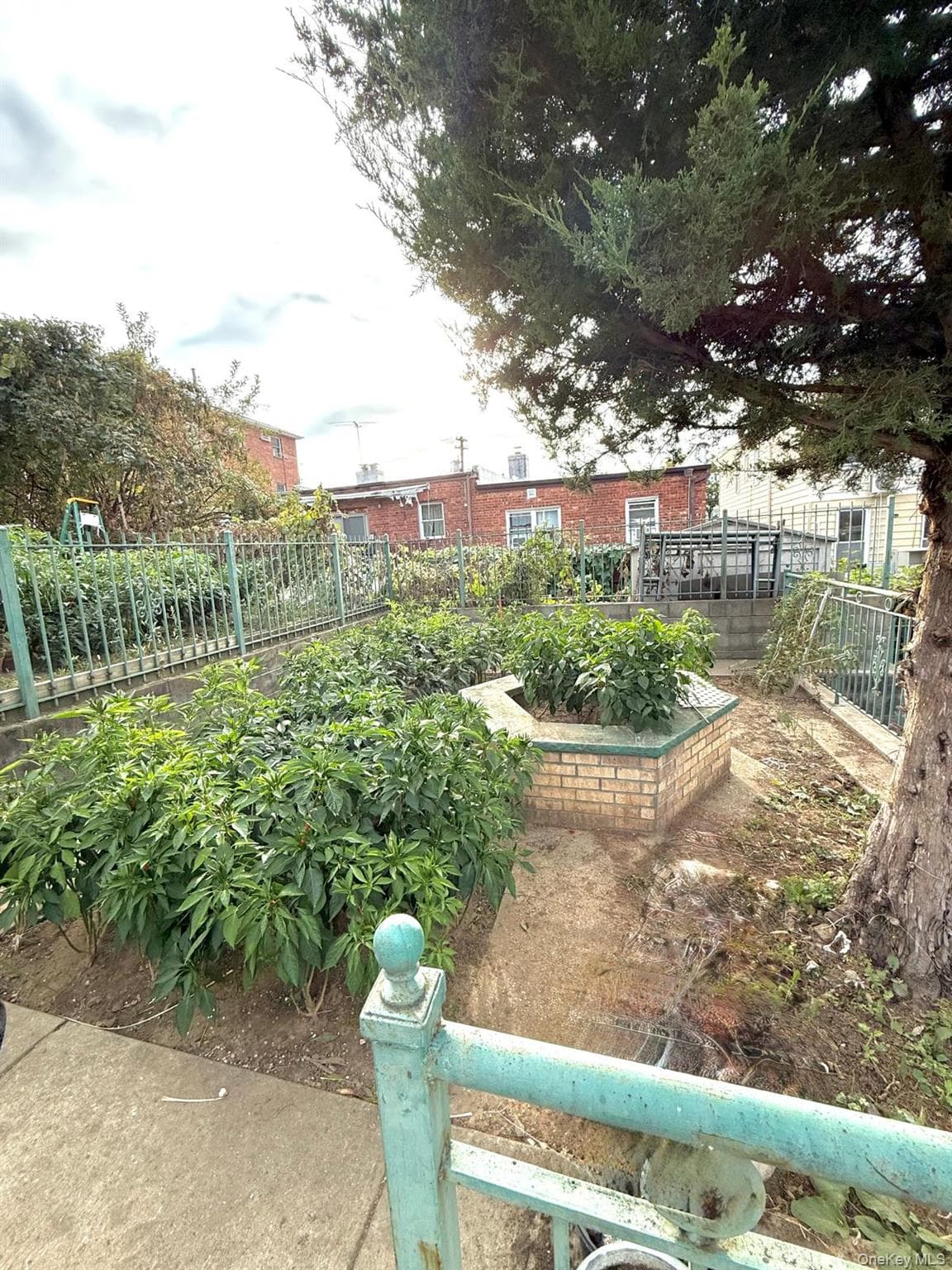 Yard
