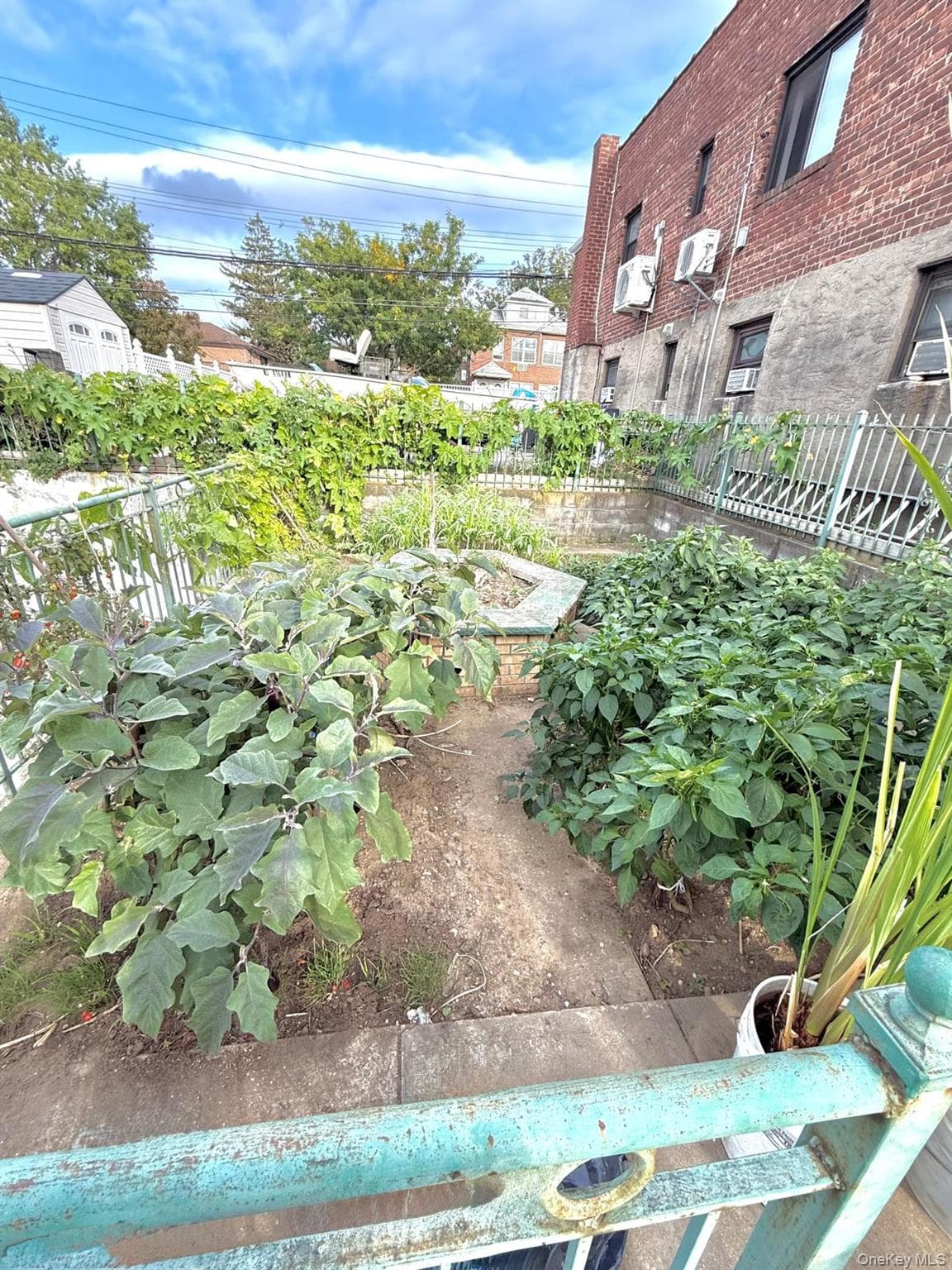 Yard