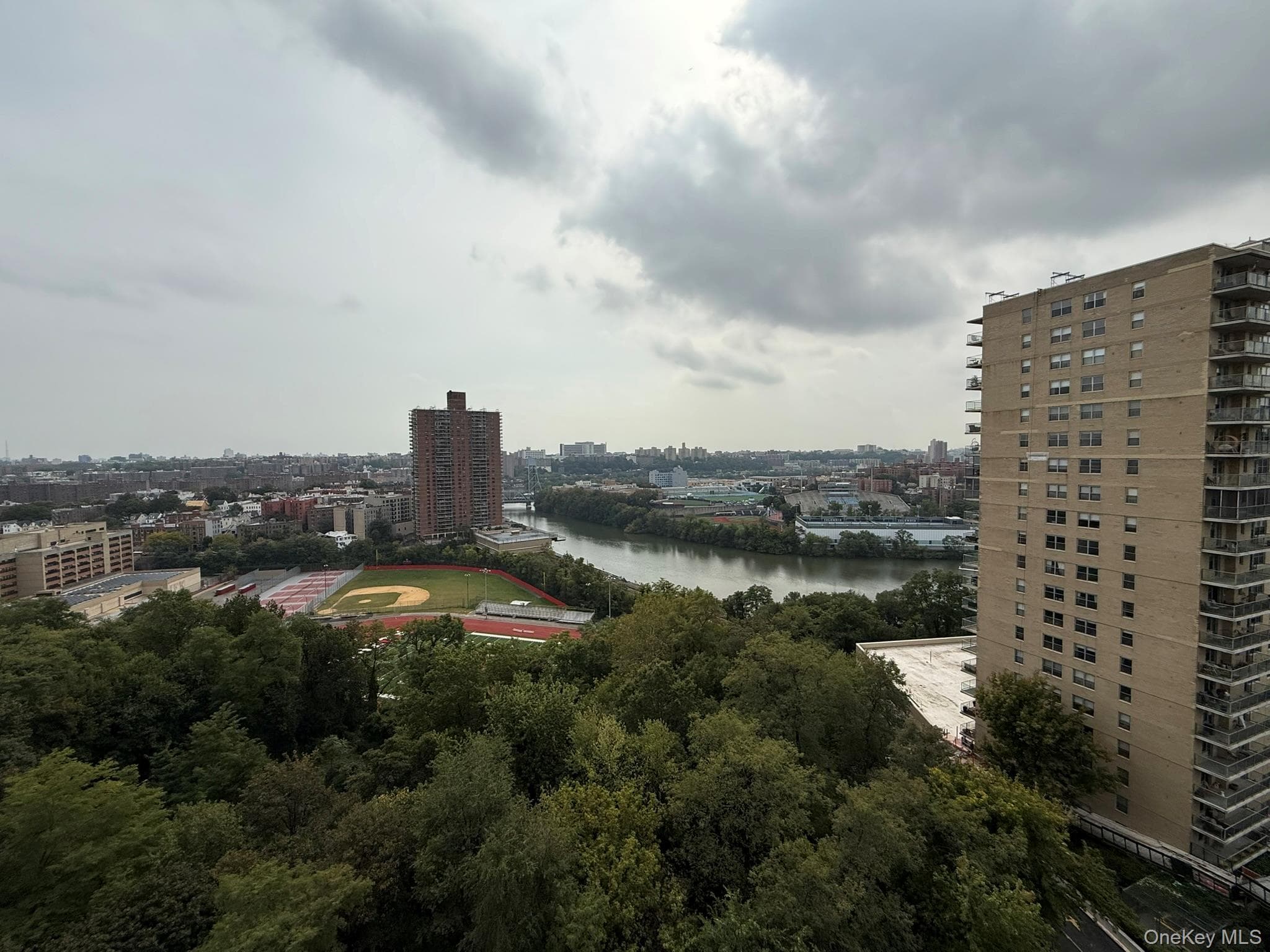View