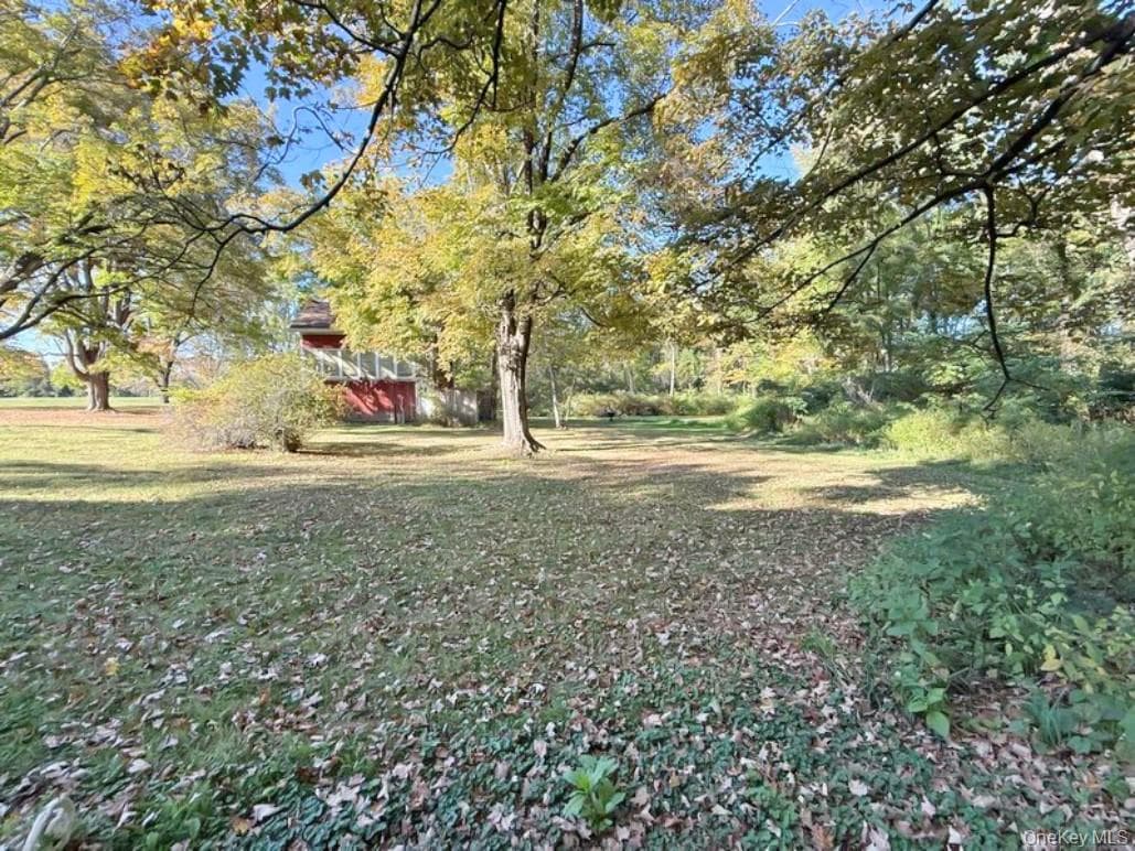 Yard