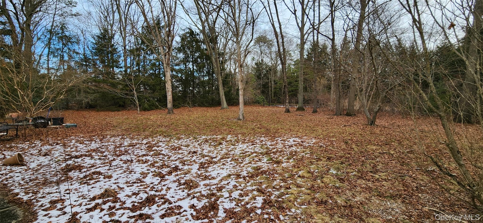 Yard