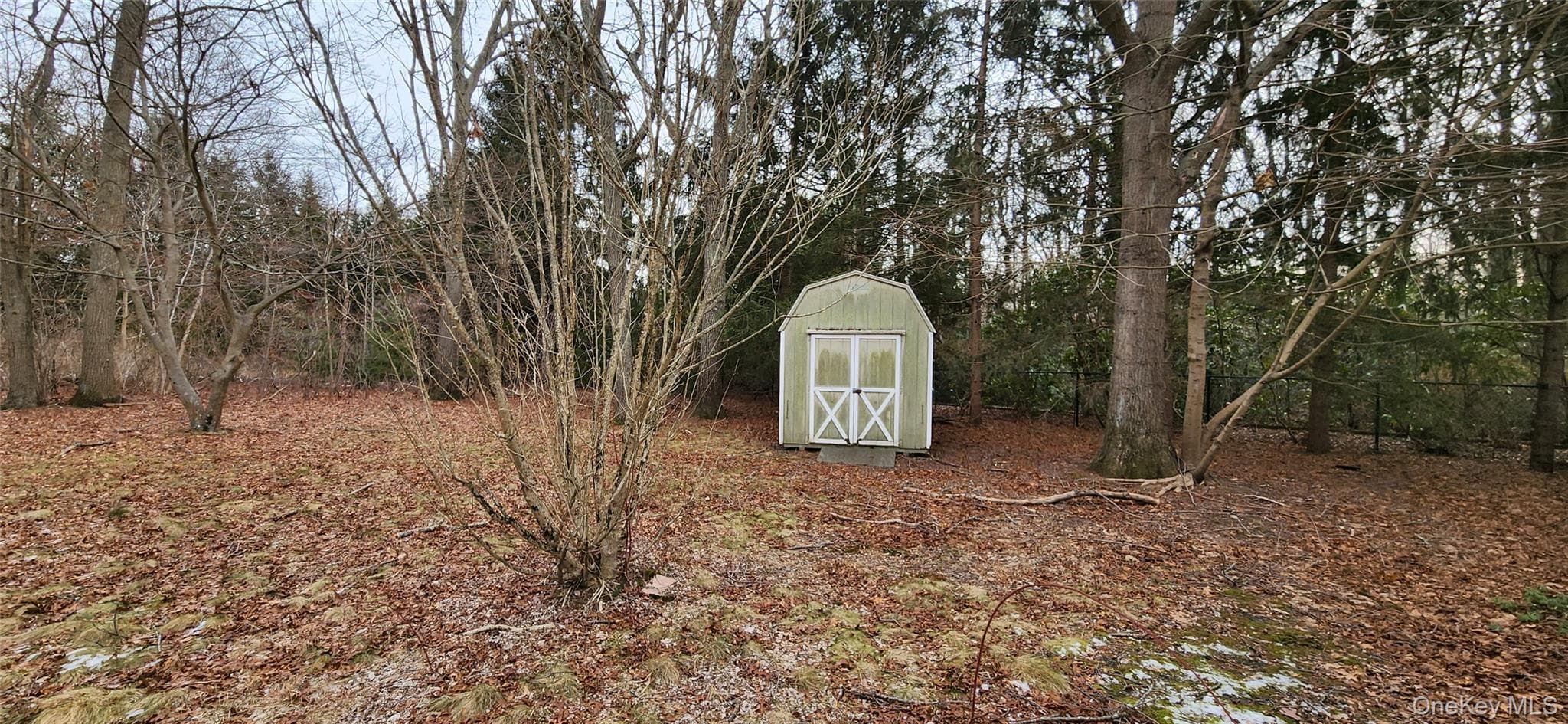 Yard