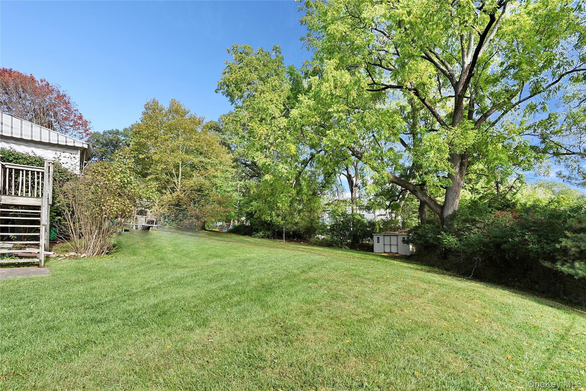 Yard