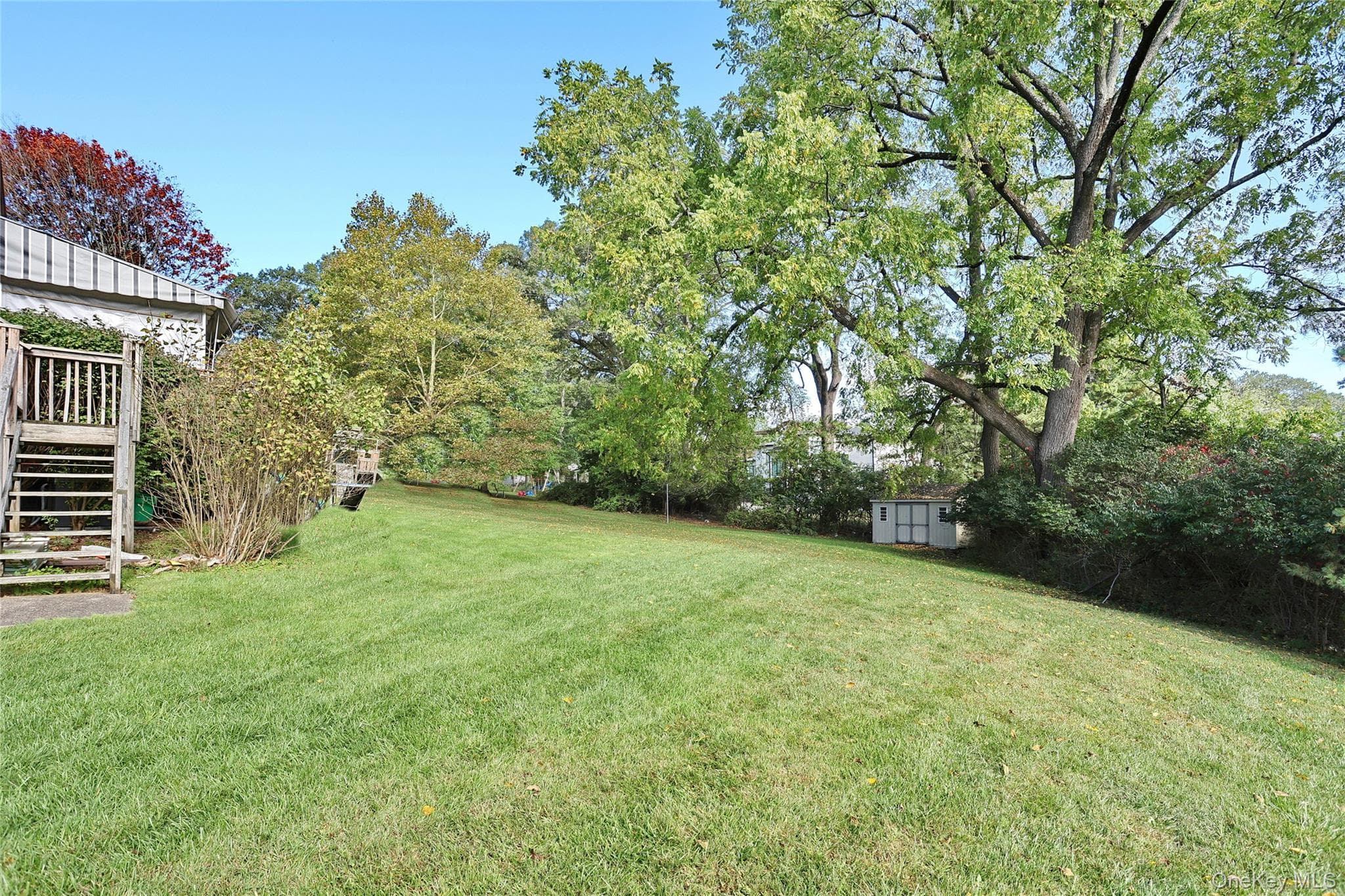 Yard