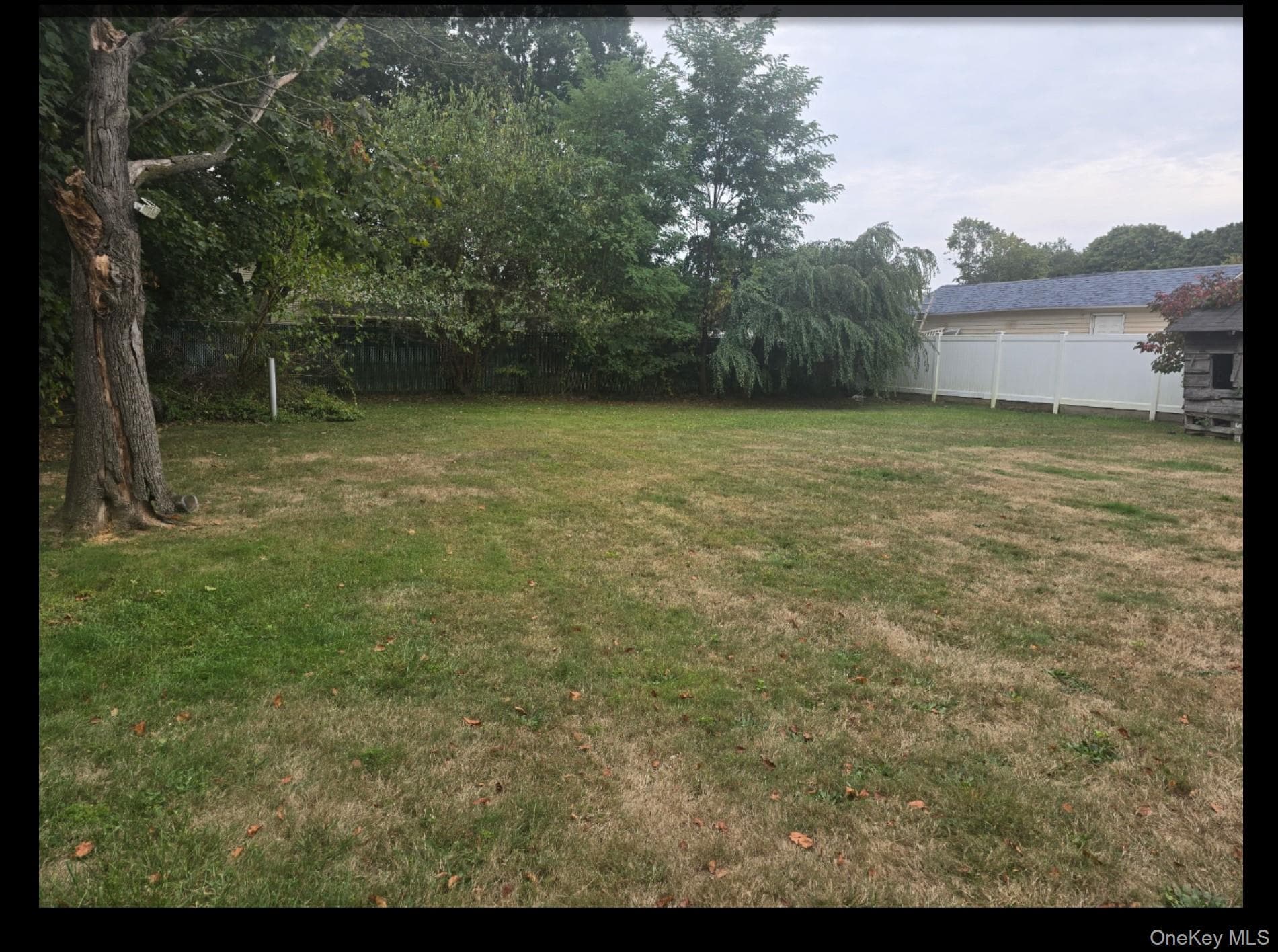 Yard