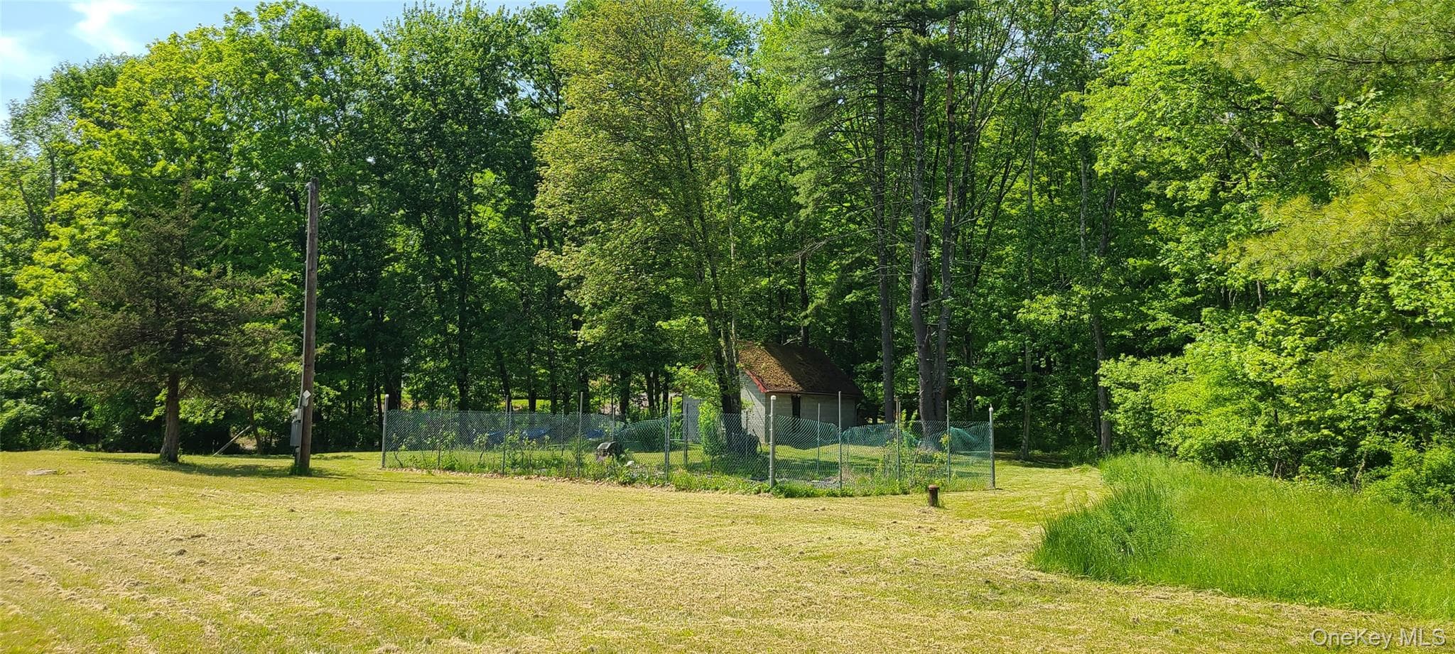 Yard