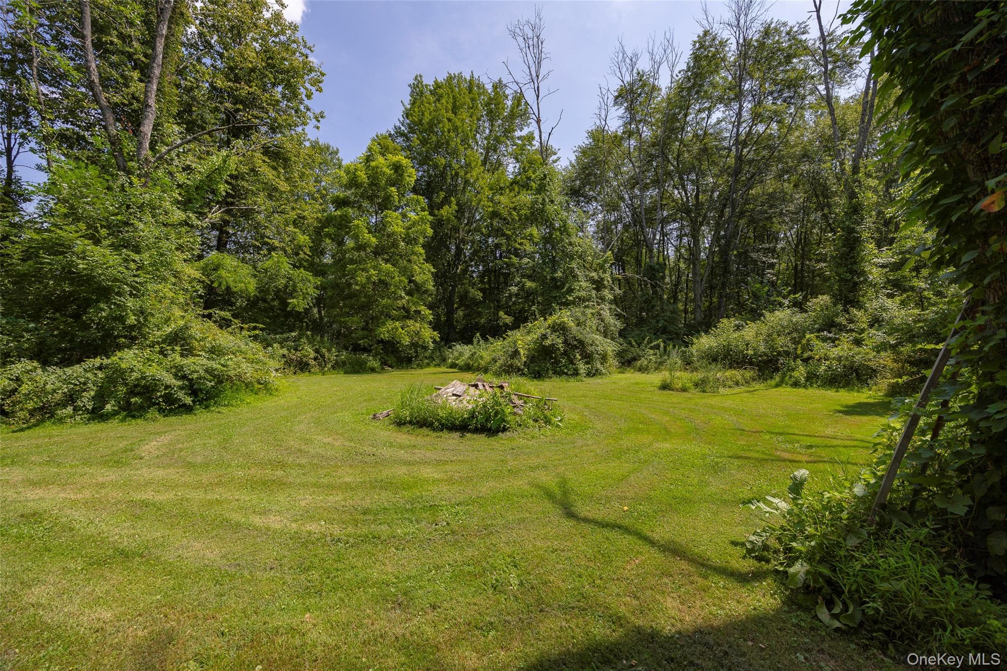 Yard