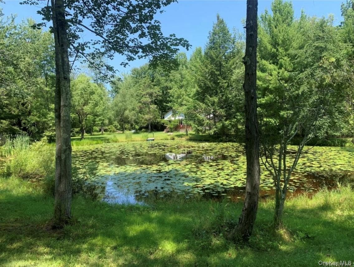 Pond