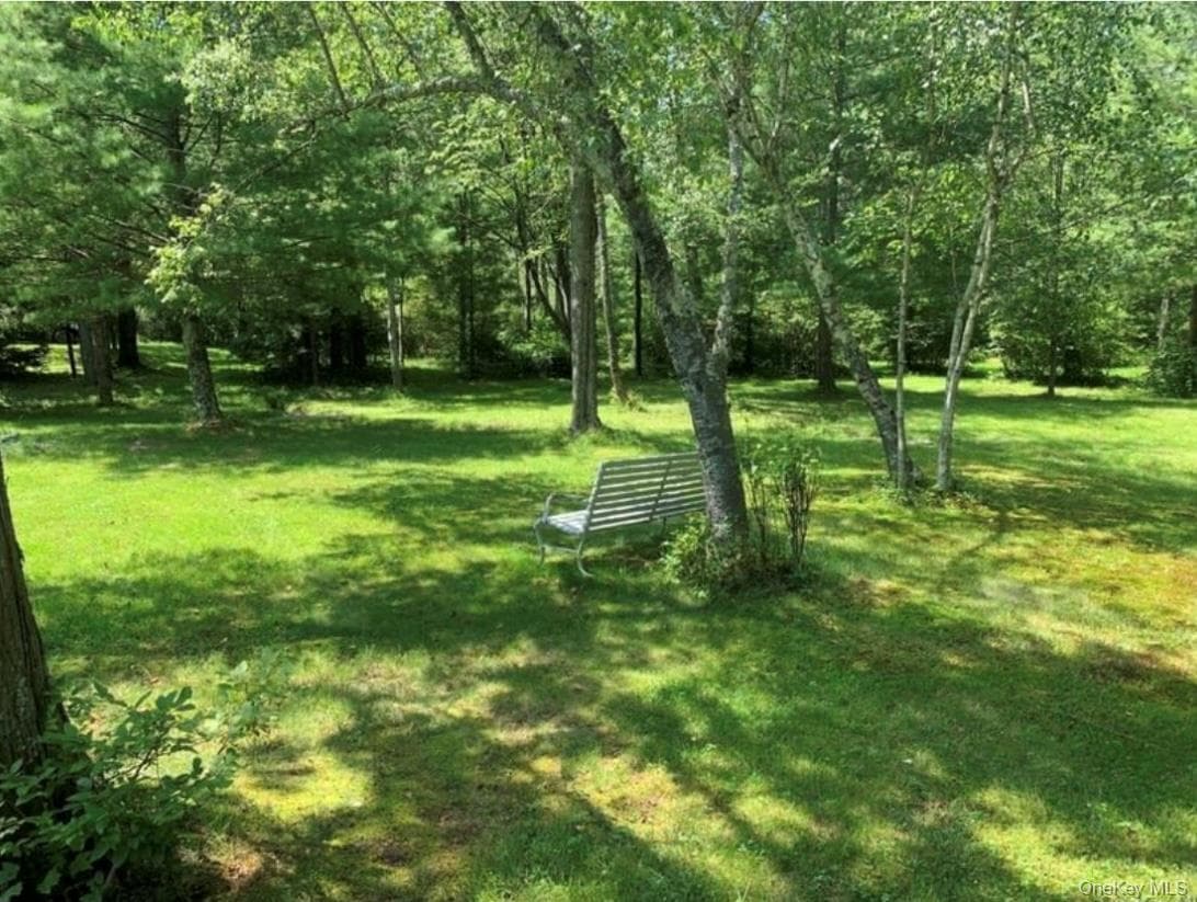 Yard
