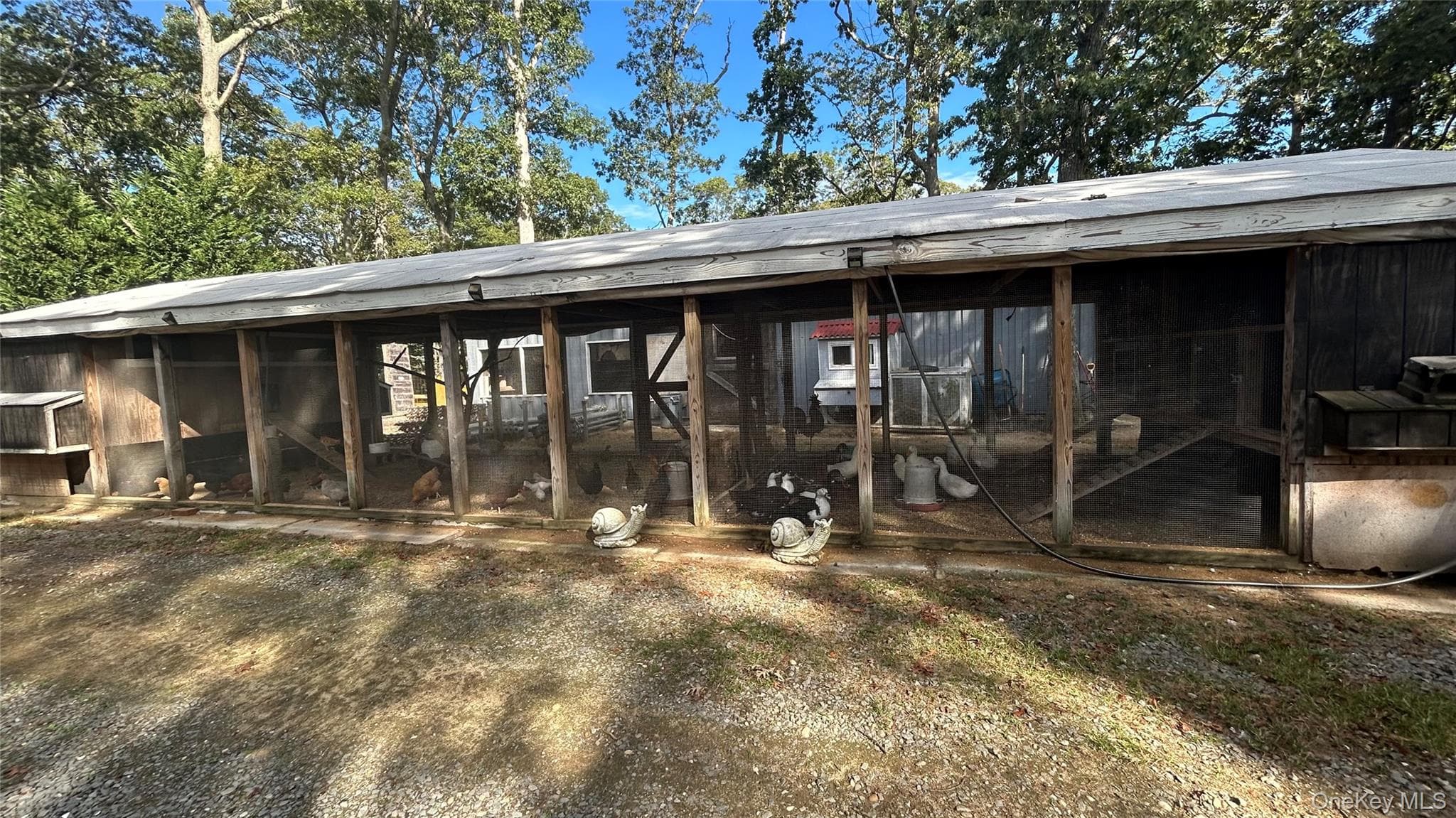Back of Structure