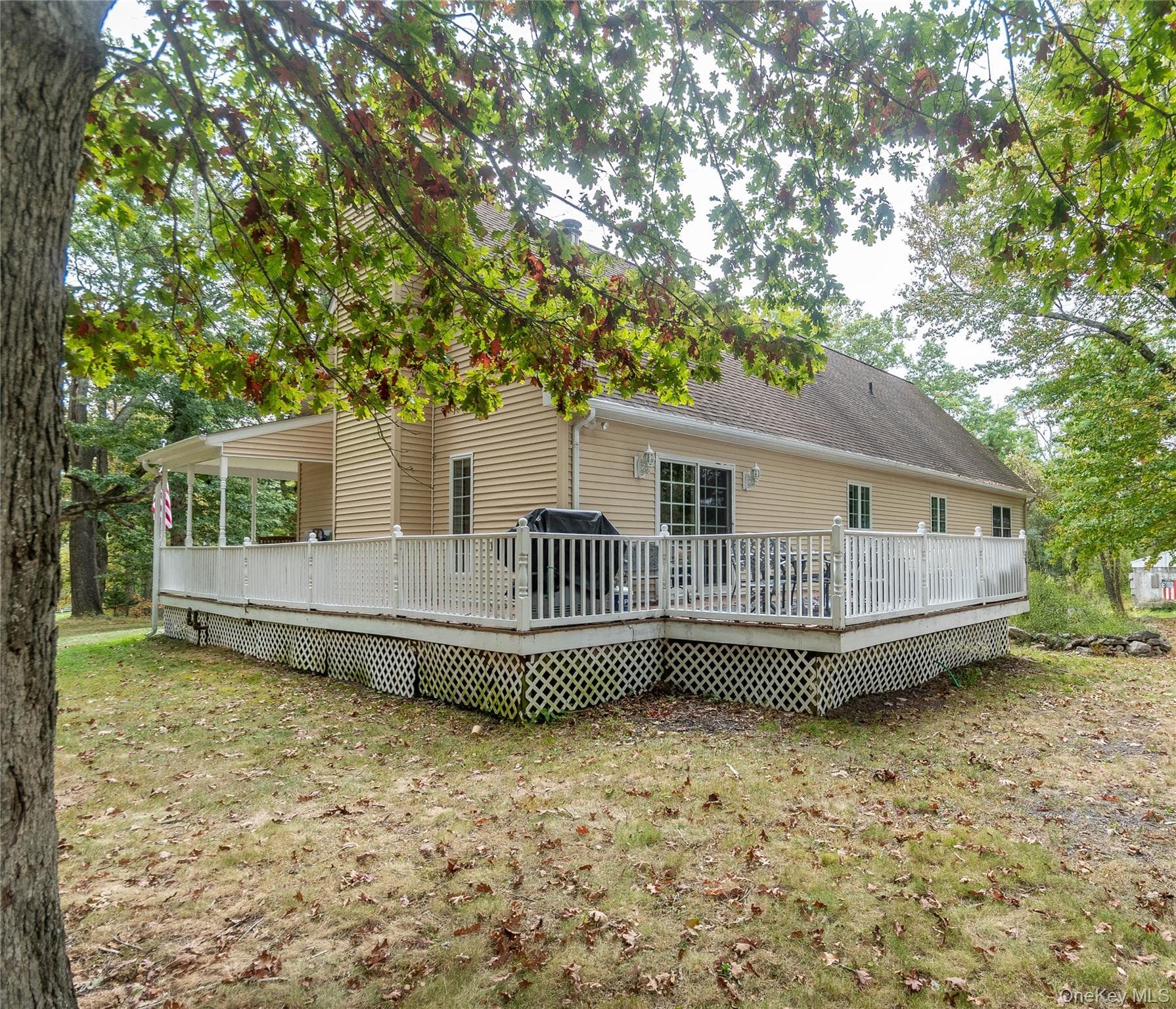 Back of Structure