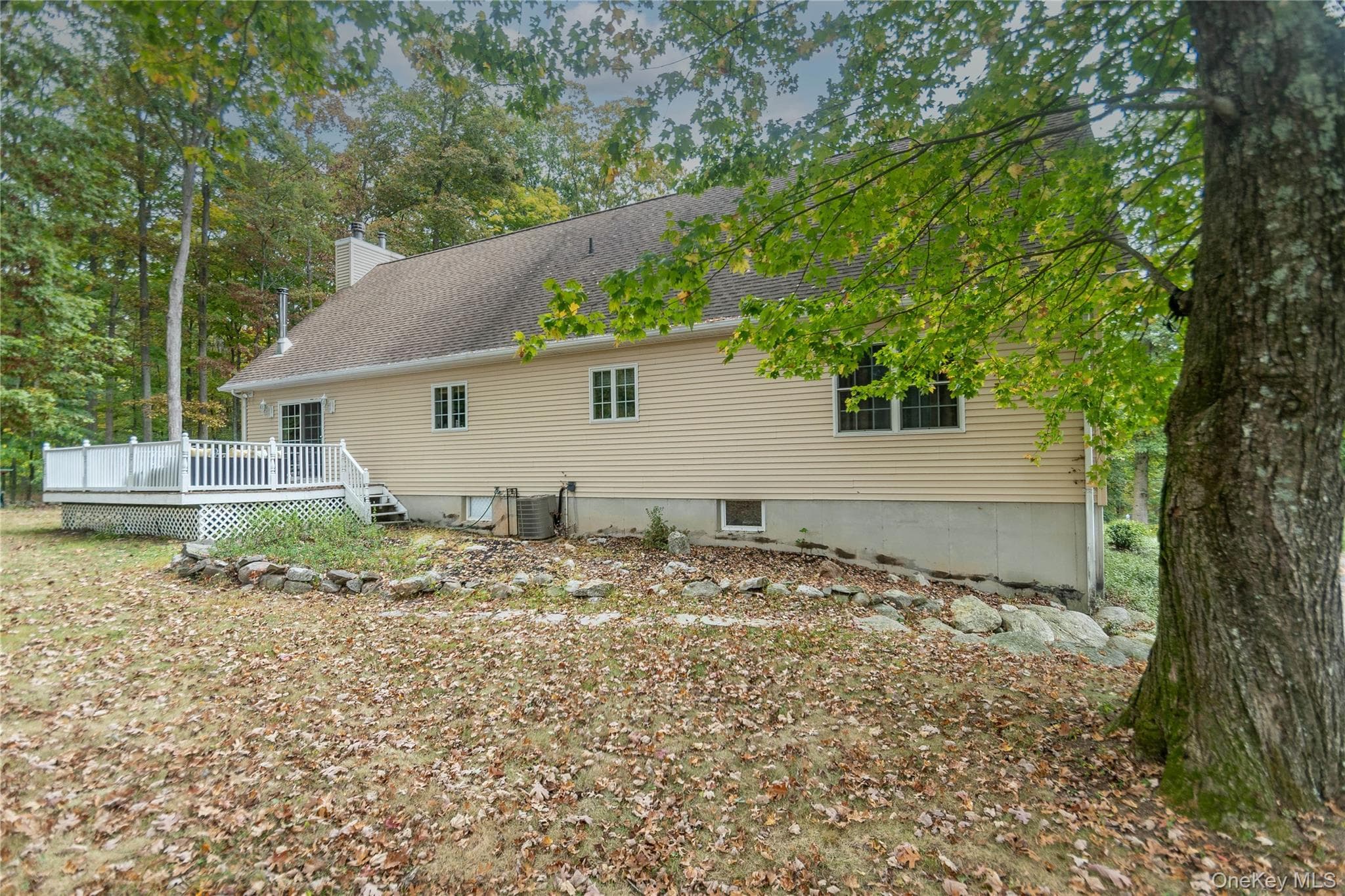Back of Structure