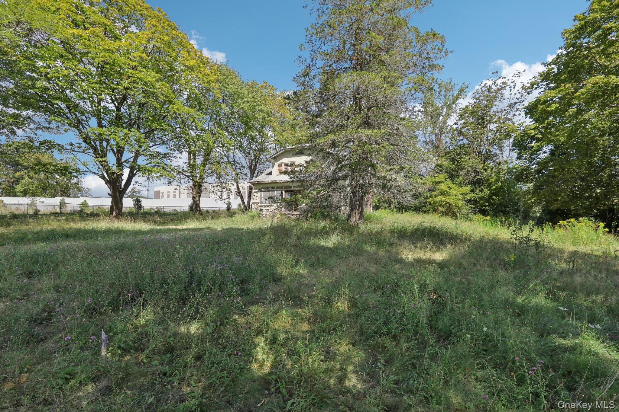 Yard