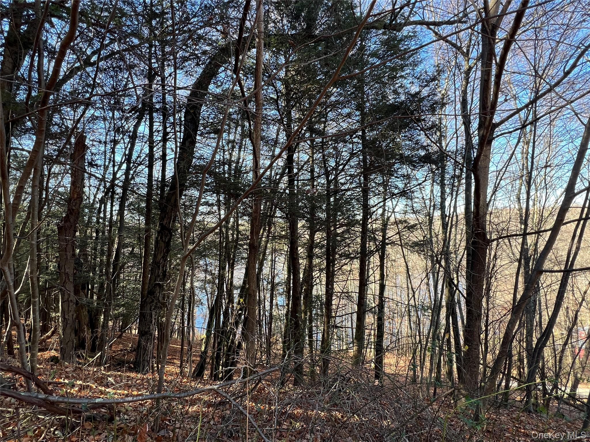 View