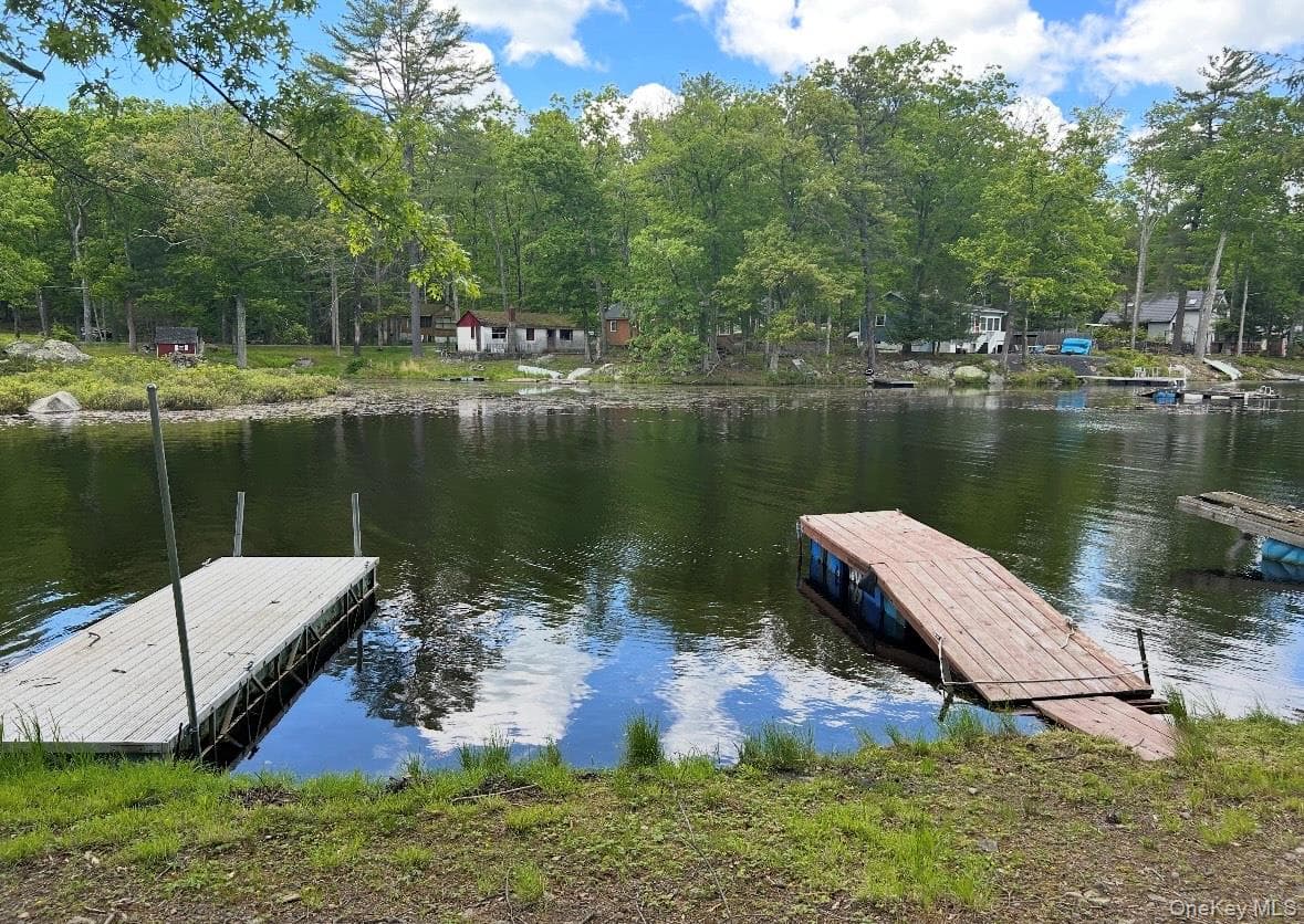 Dock