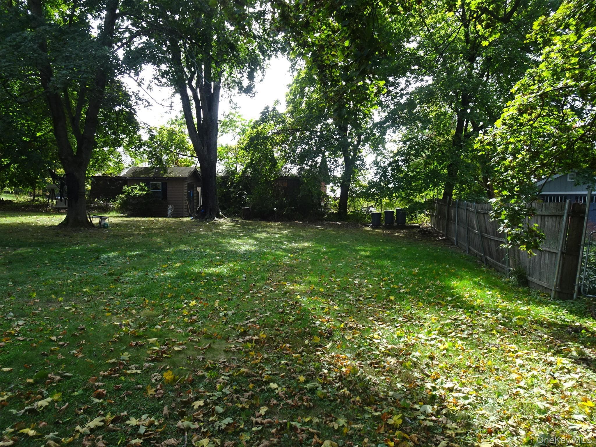 Yard