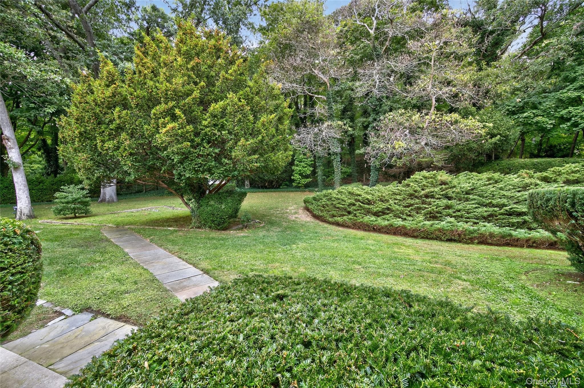 Yard