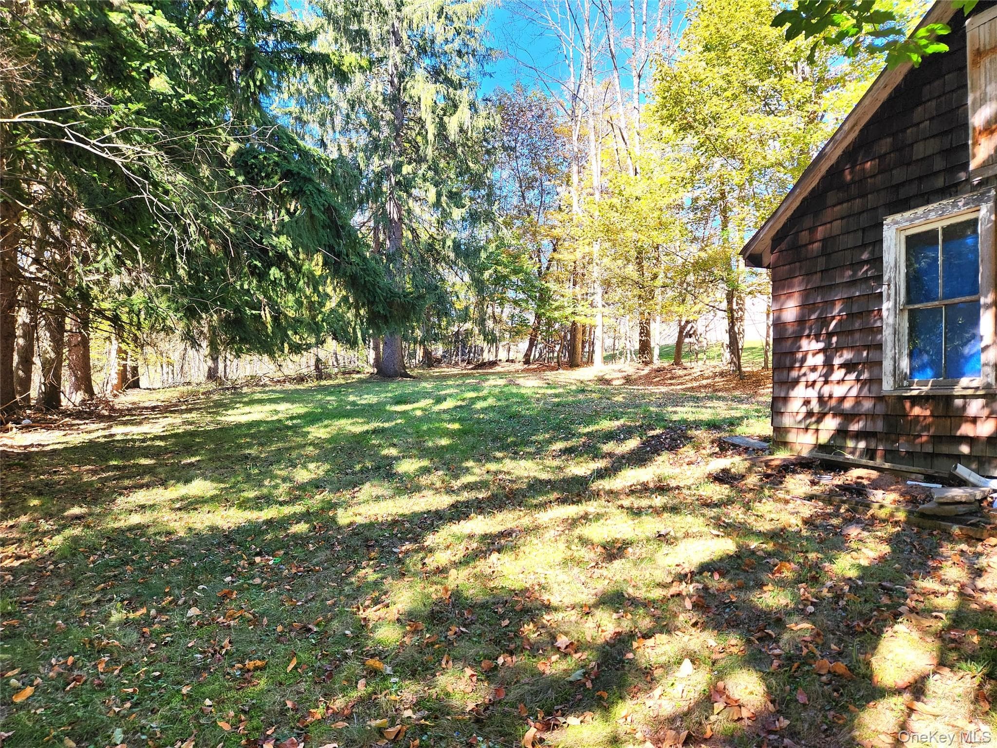 Yard