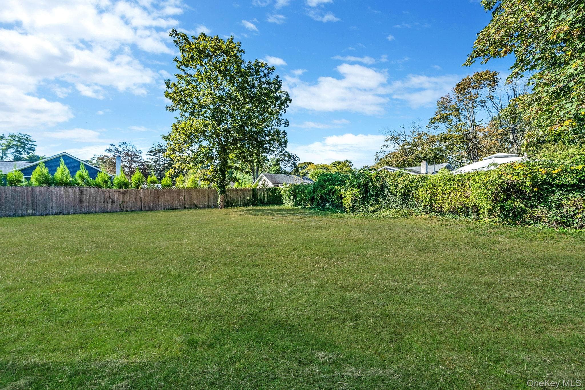 Yard