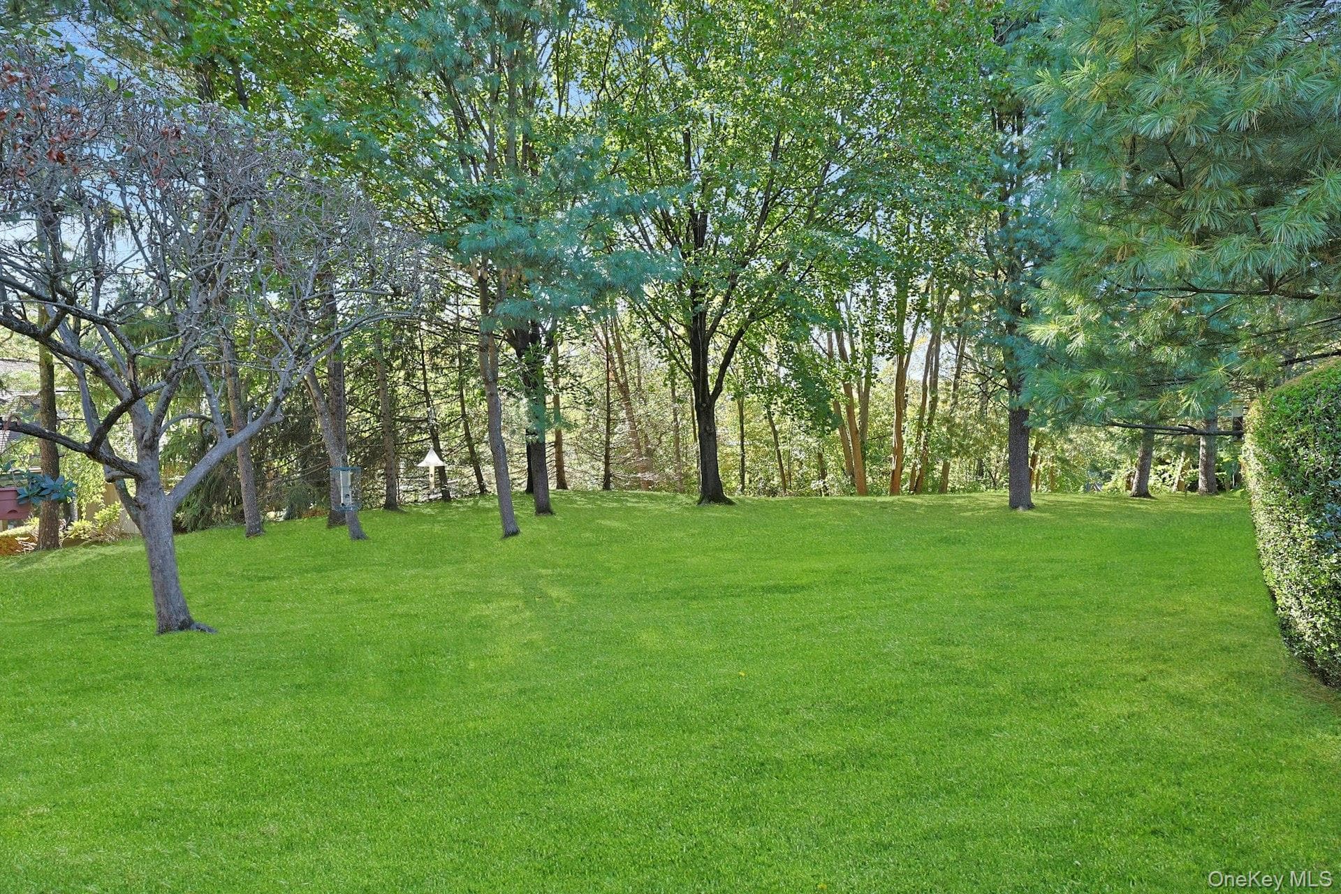 Yard