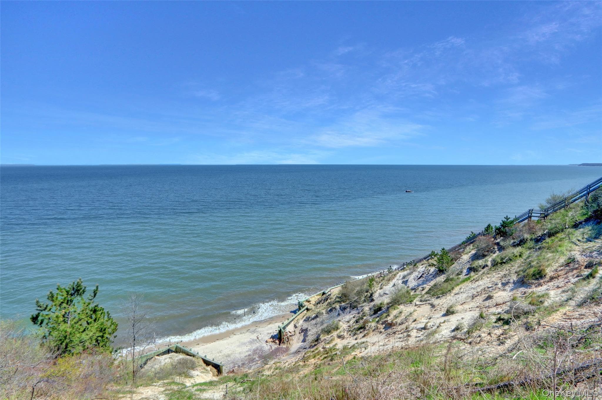 View