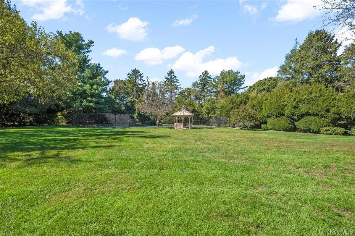 Yard