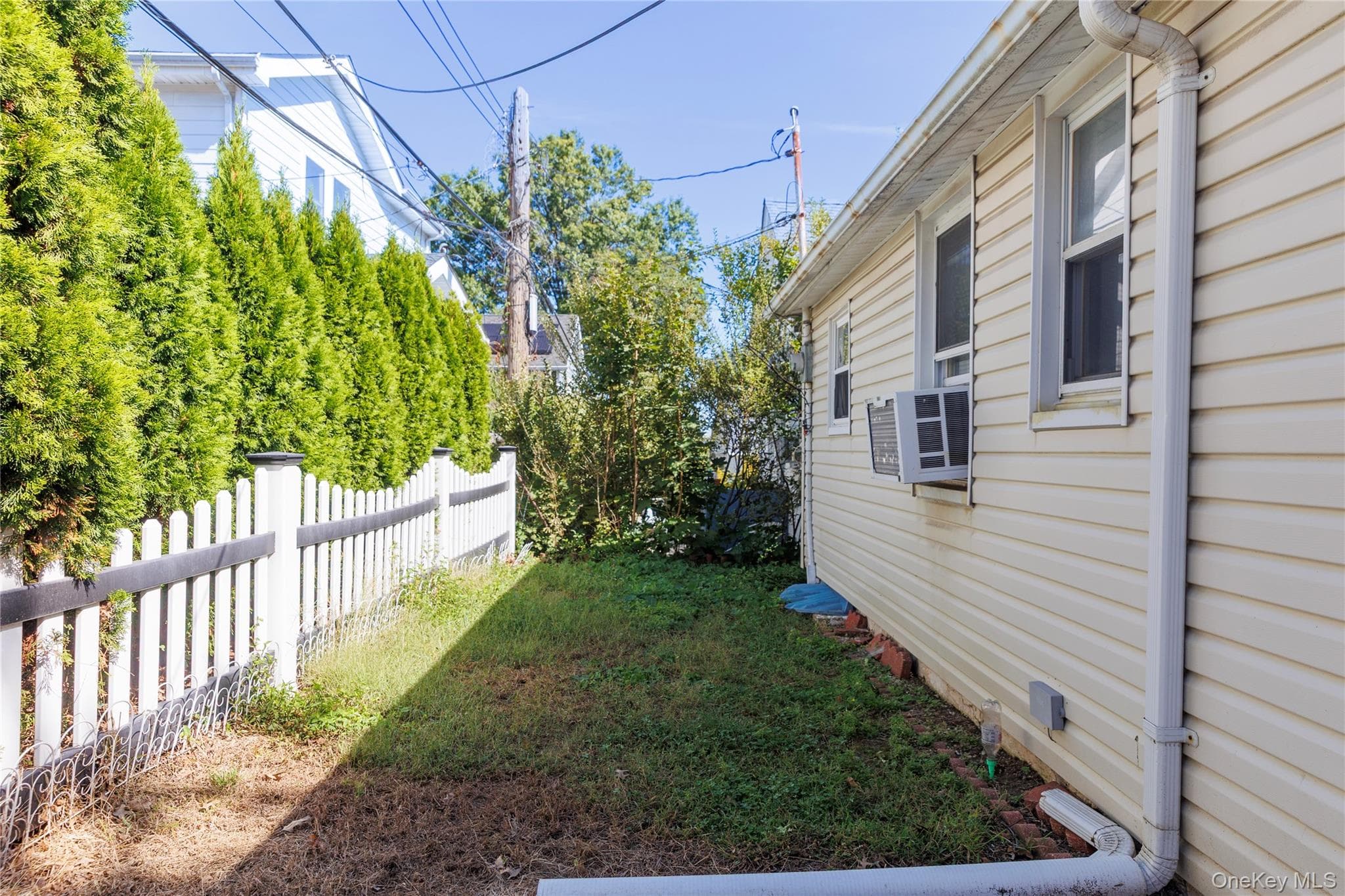 Yard
