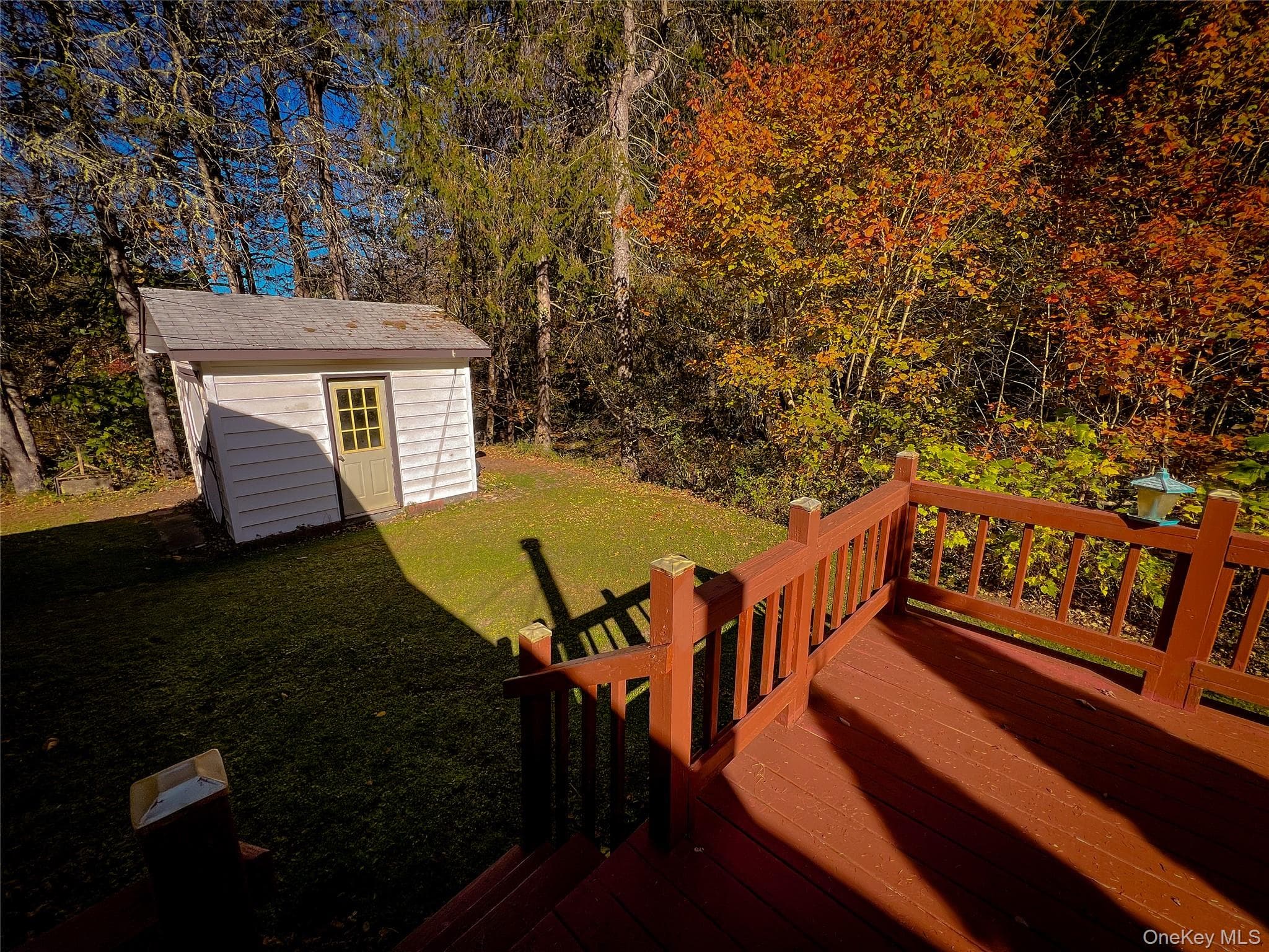 Deck