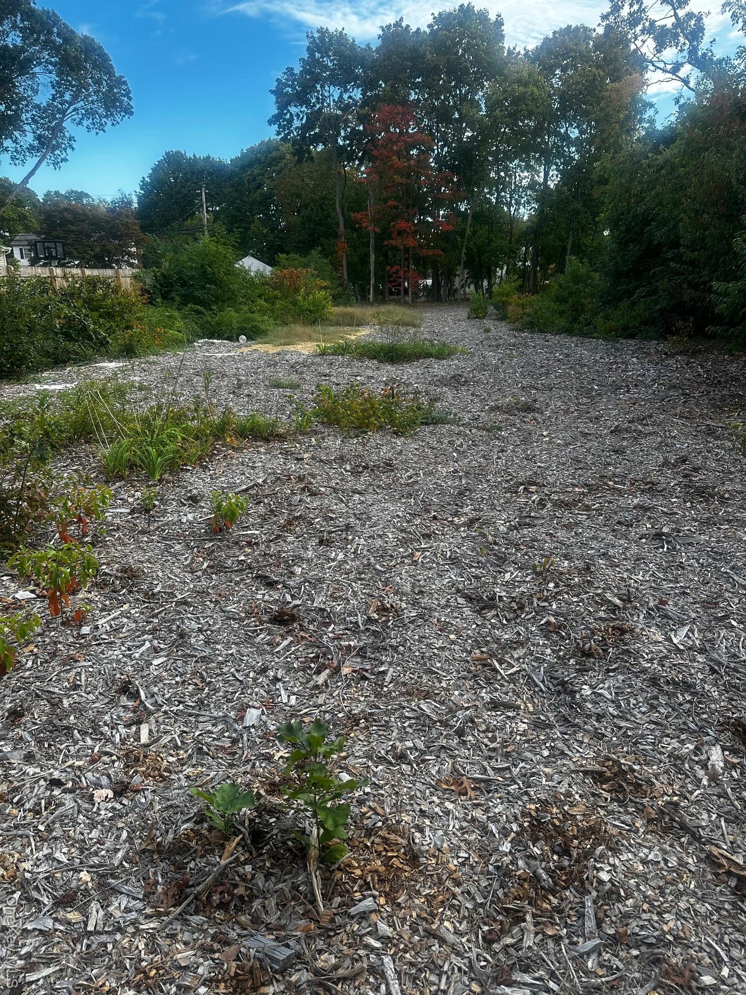Yard