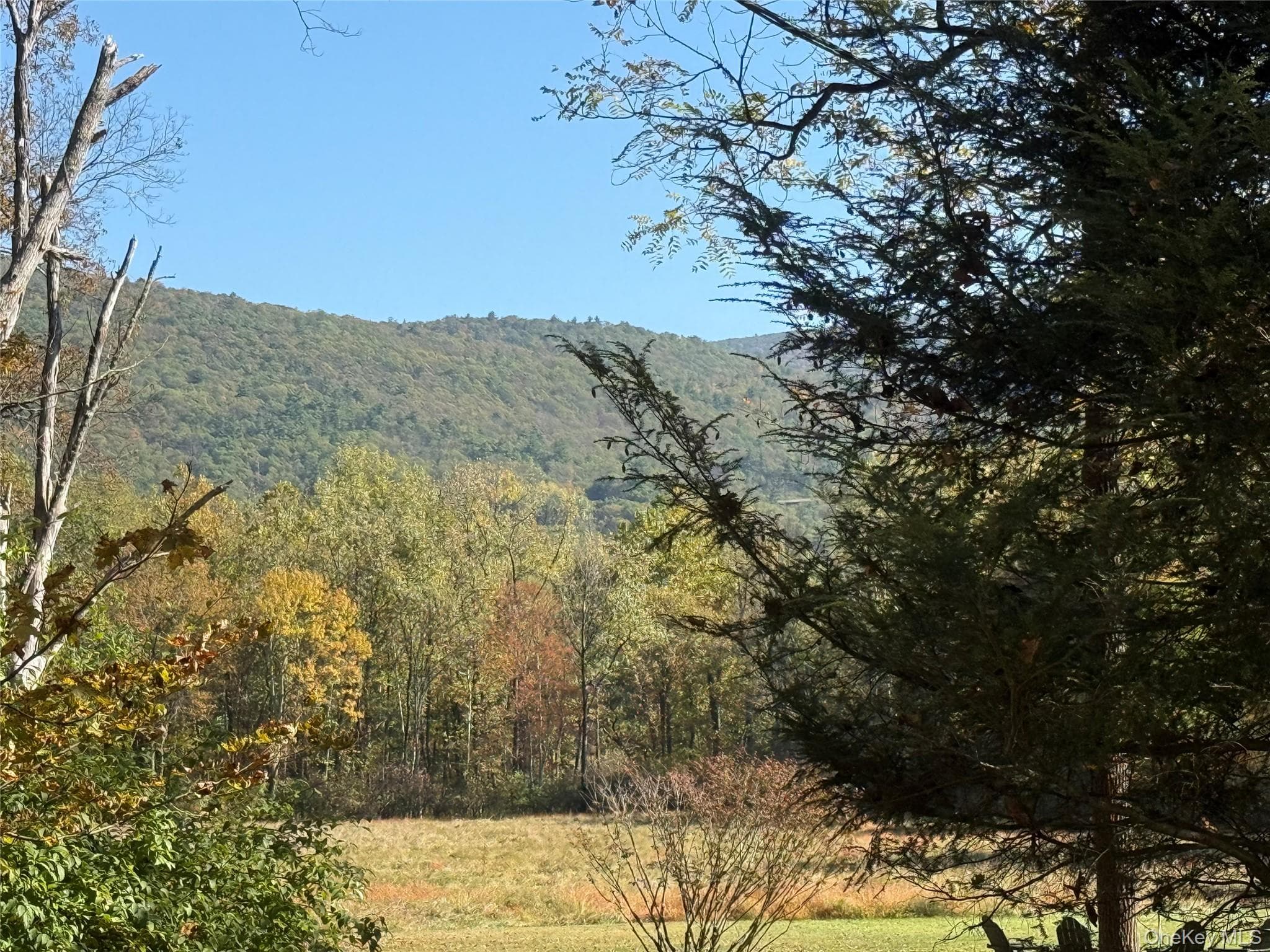 View
