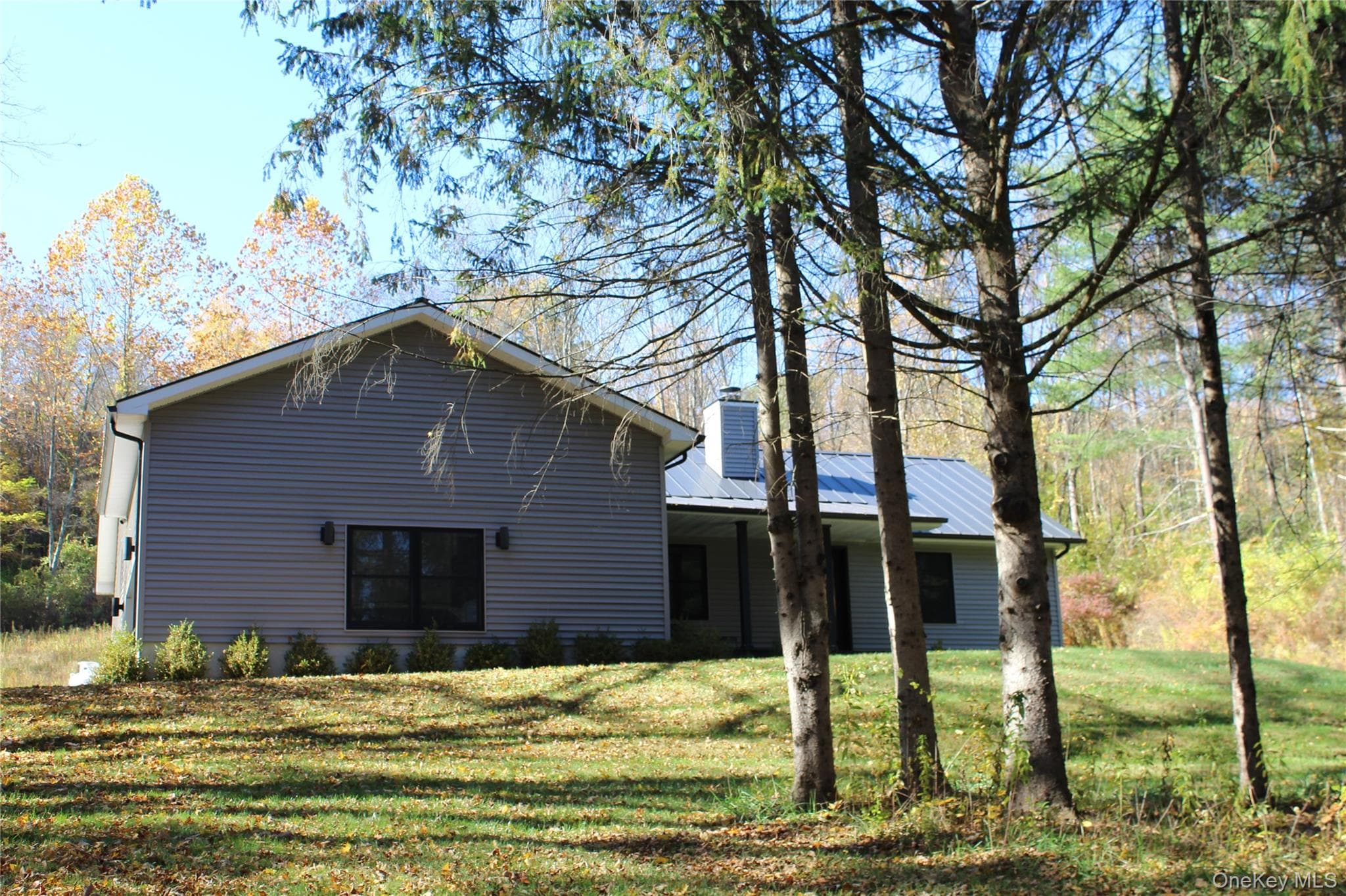 Back of Structure