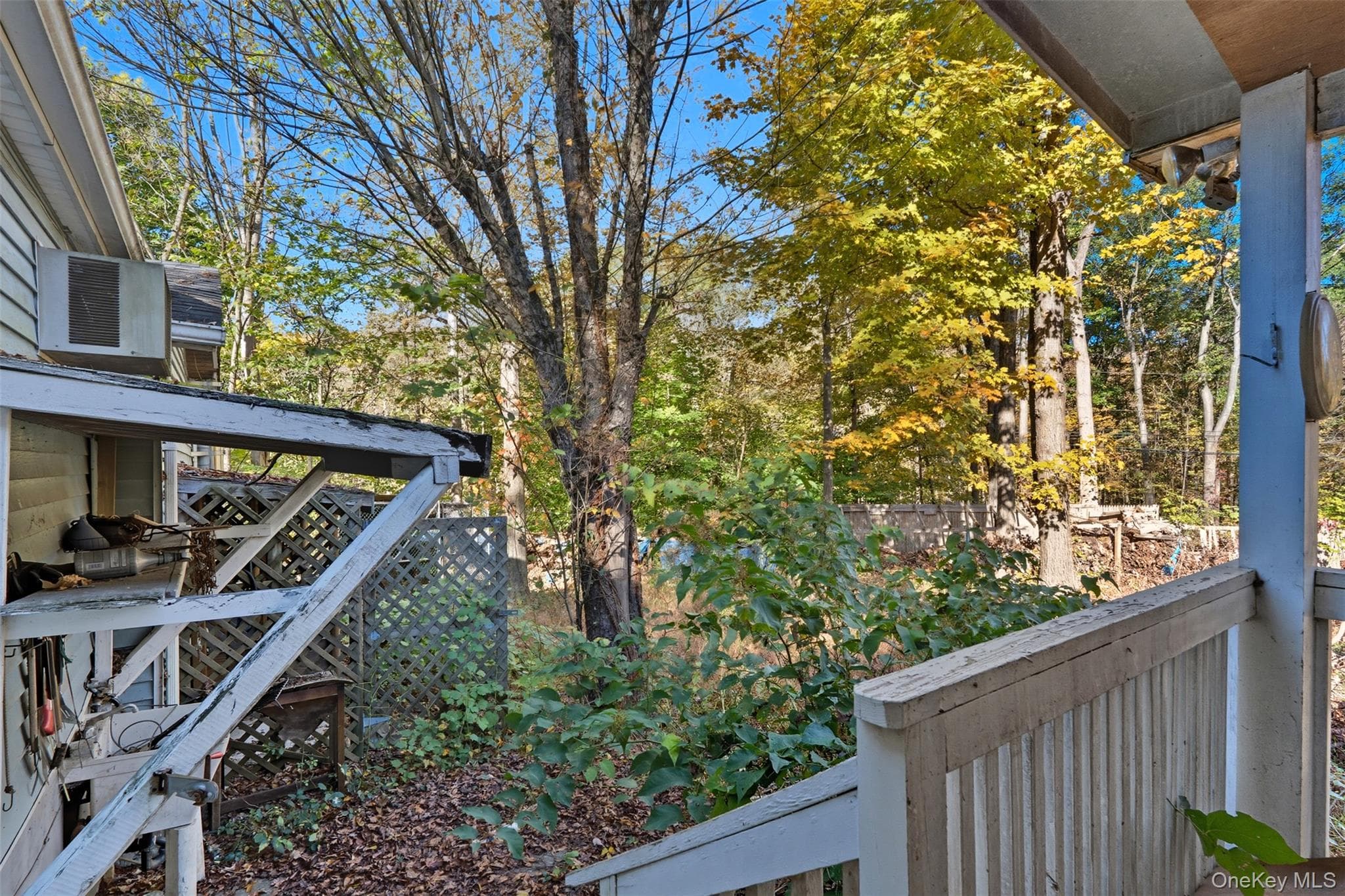 Yard