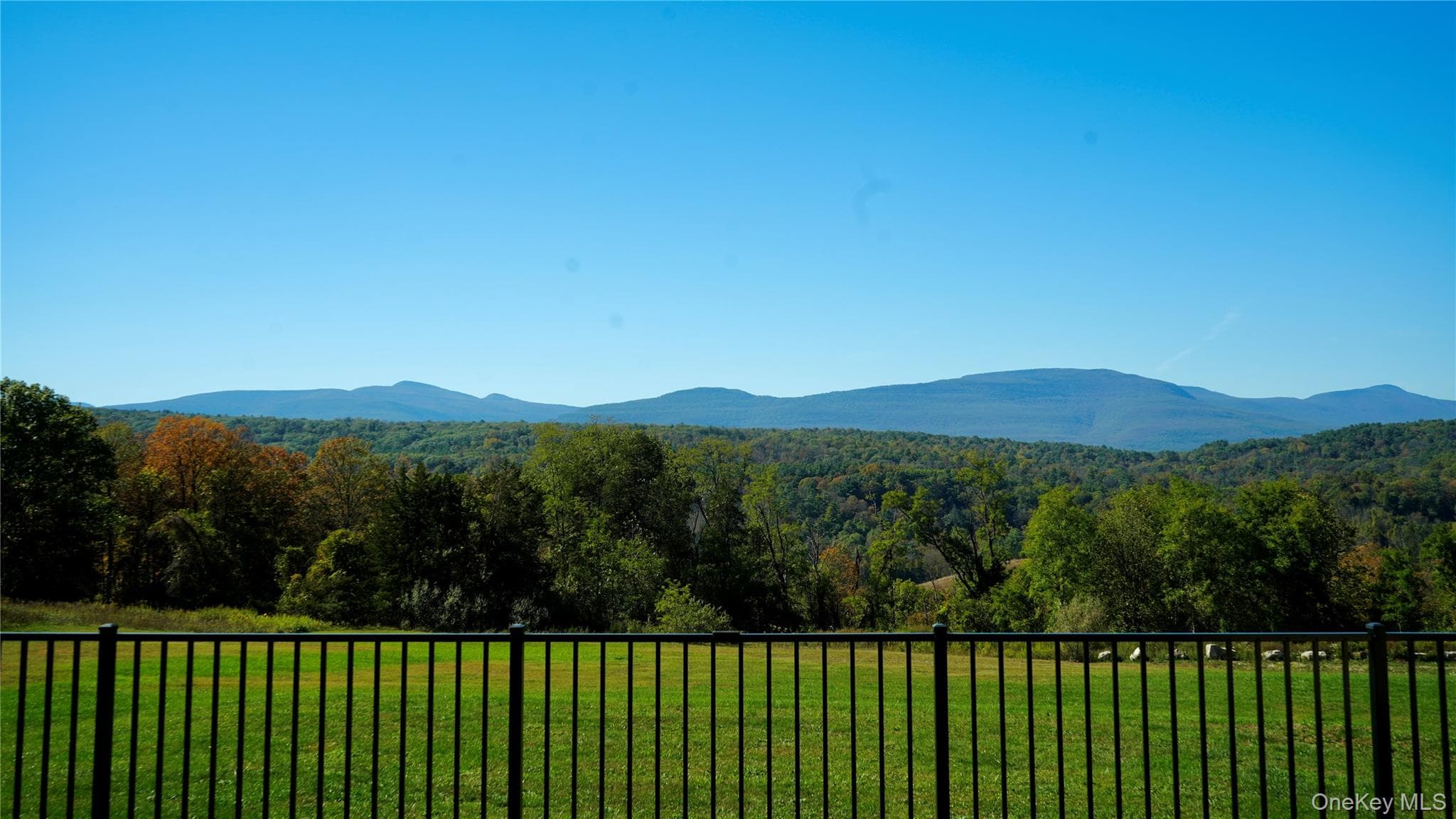 View