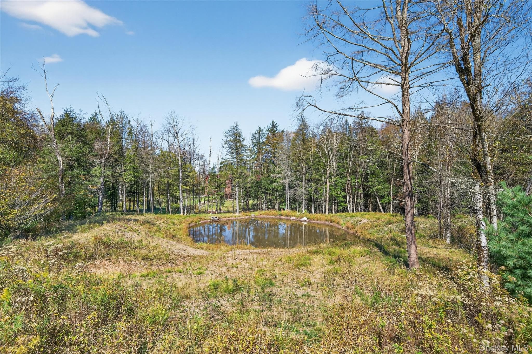 Pond