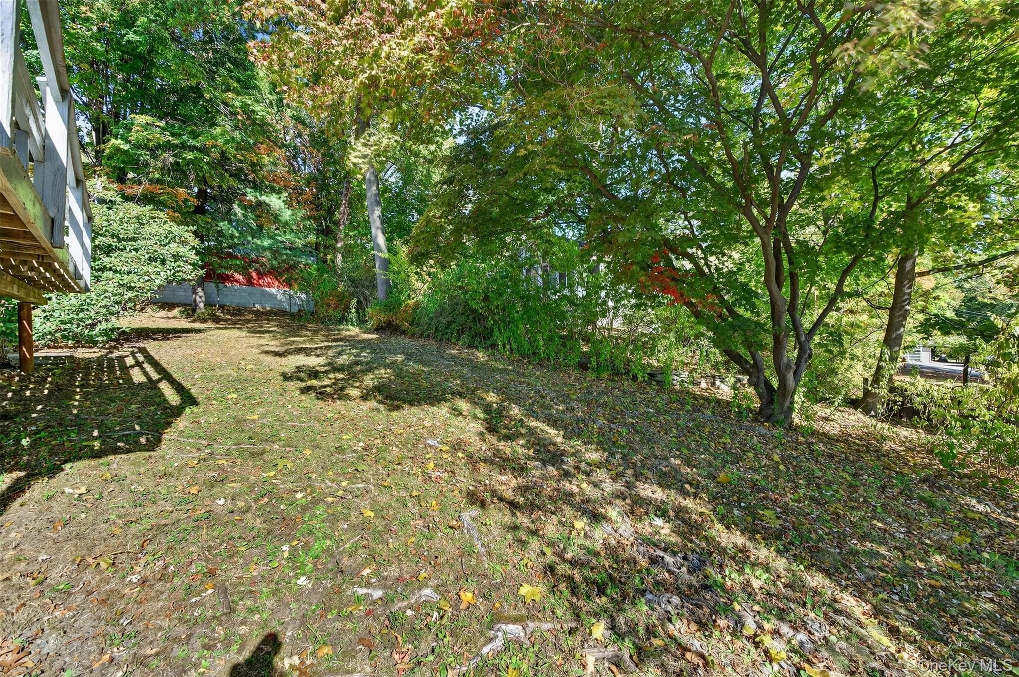 Yard