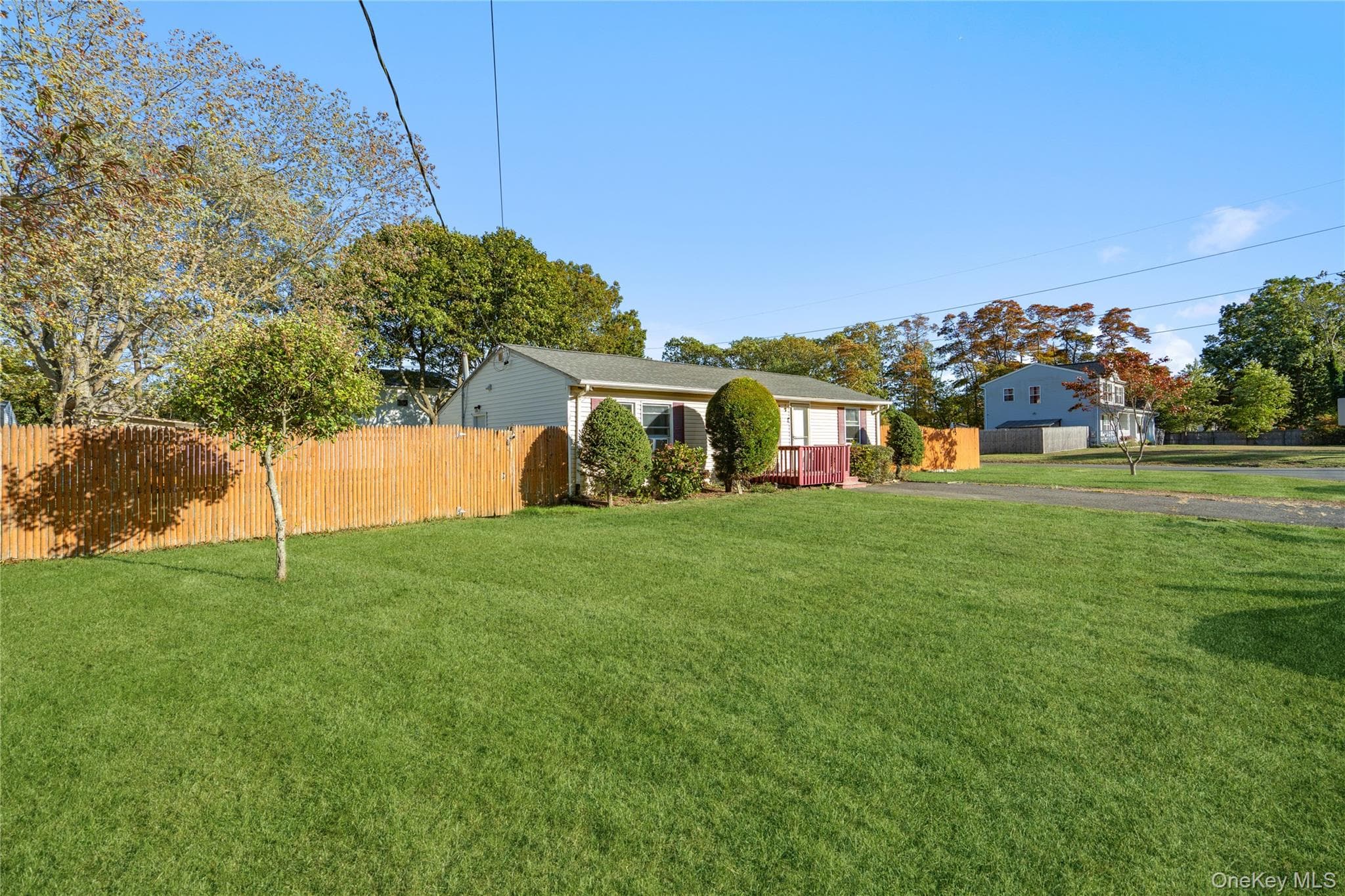 Yard