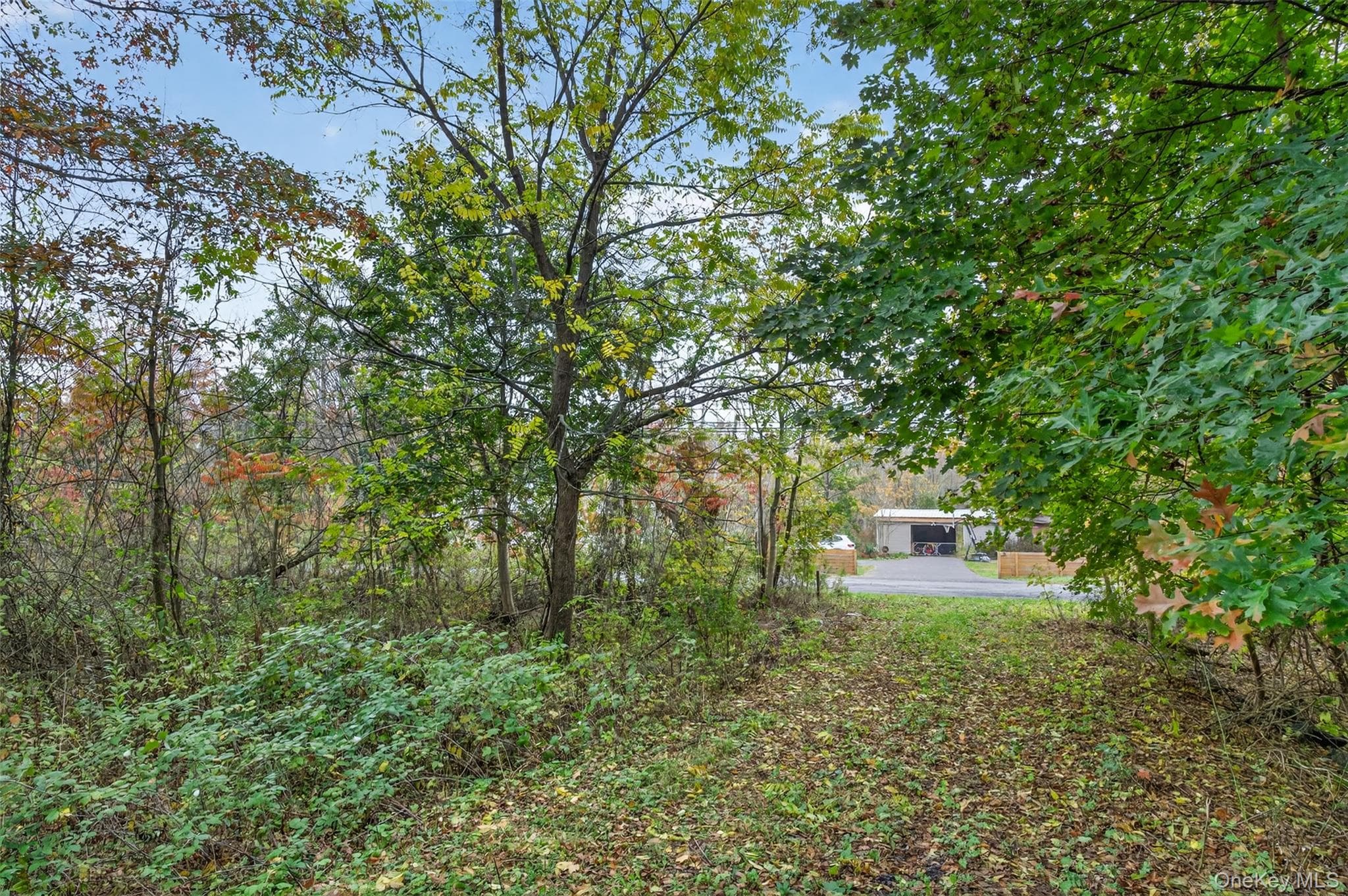 Yard