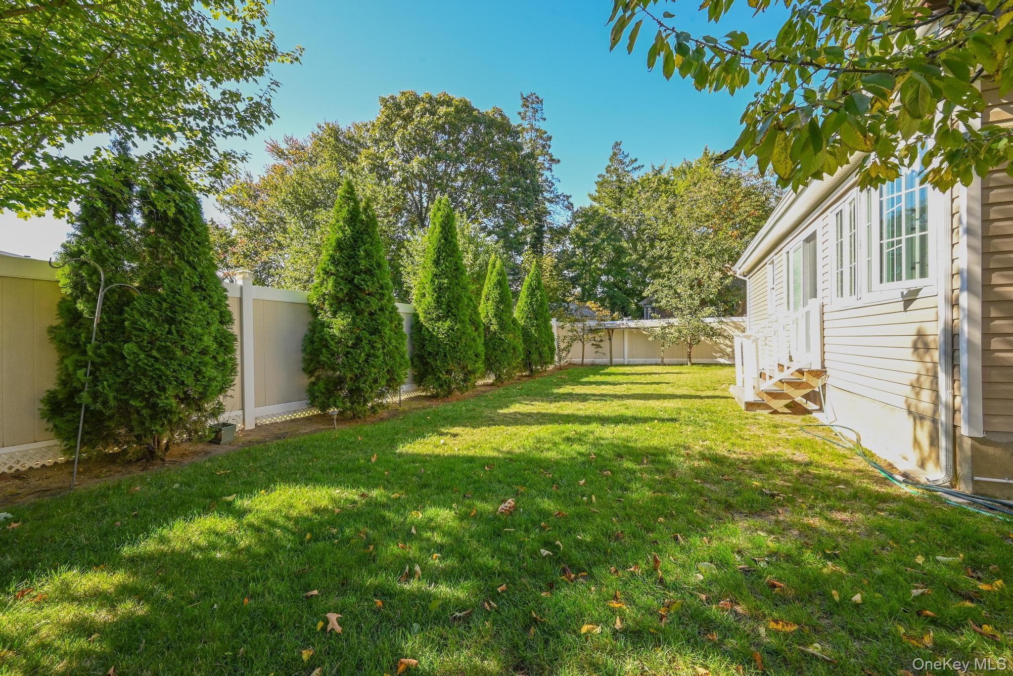 Yard