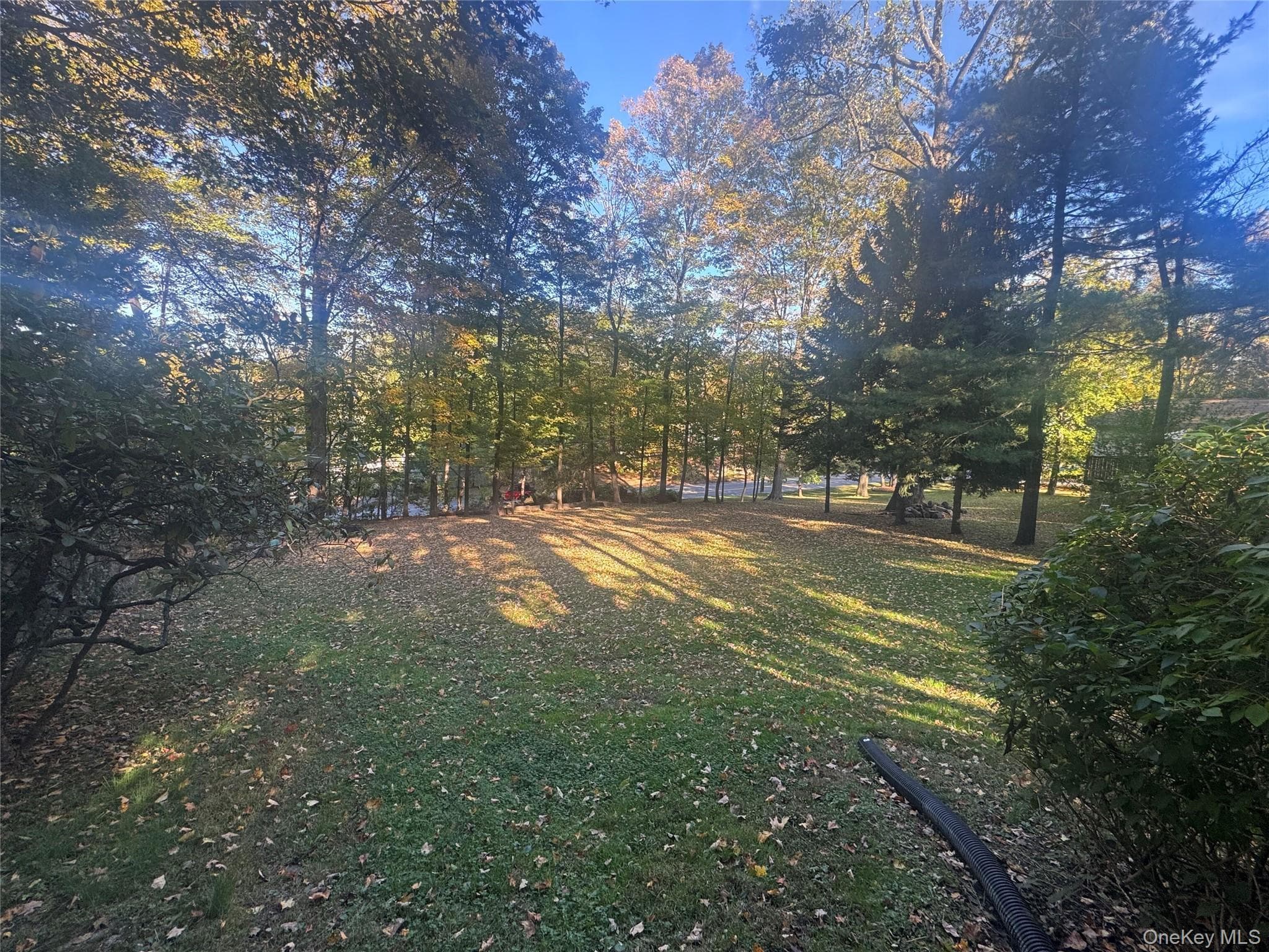 Yard