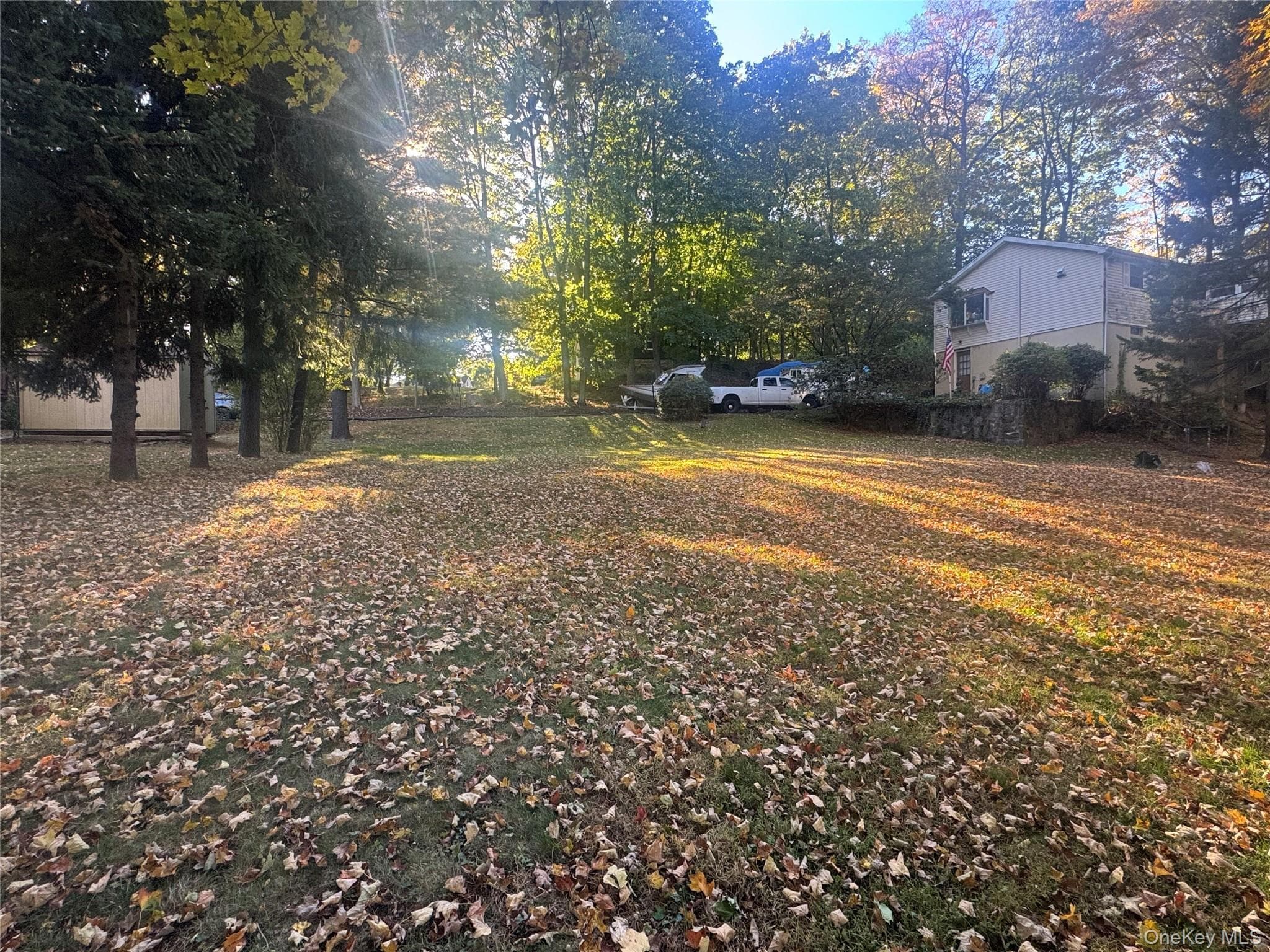Yard
