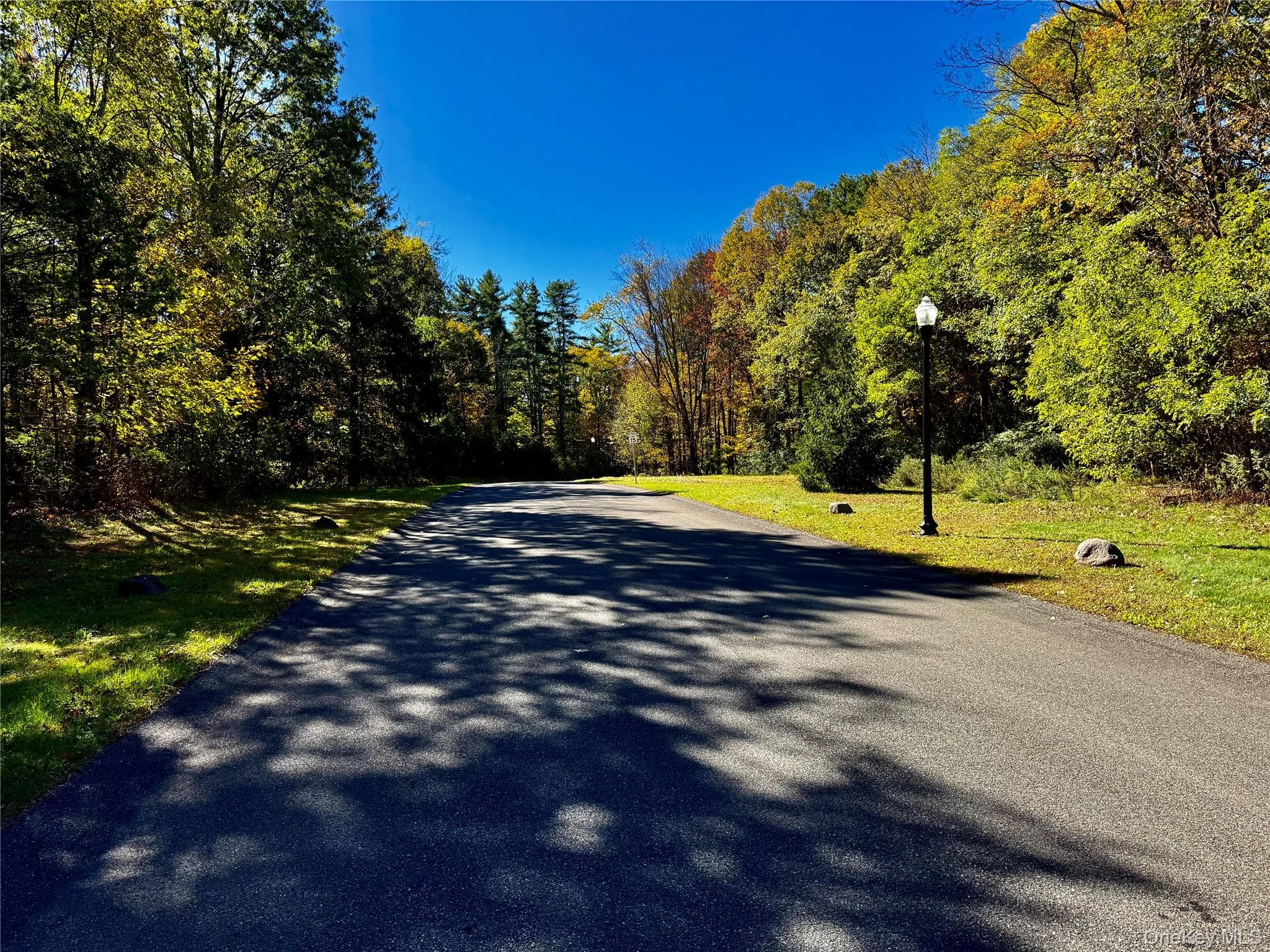 Community