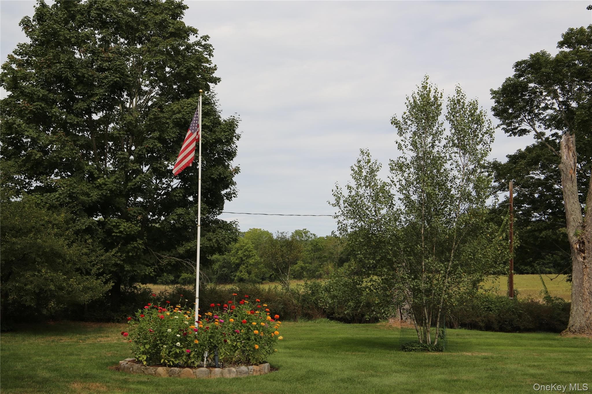 Yard